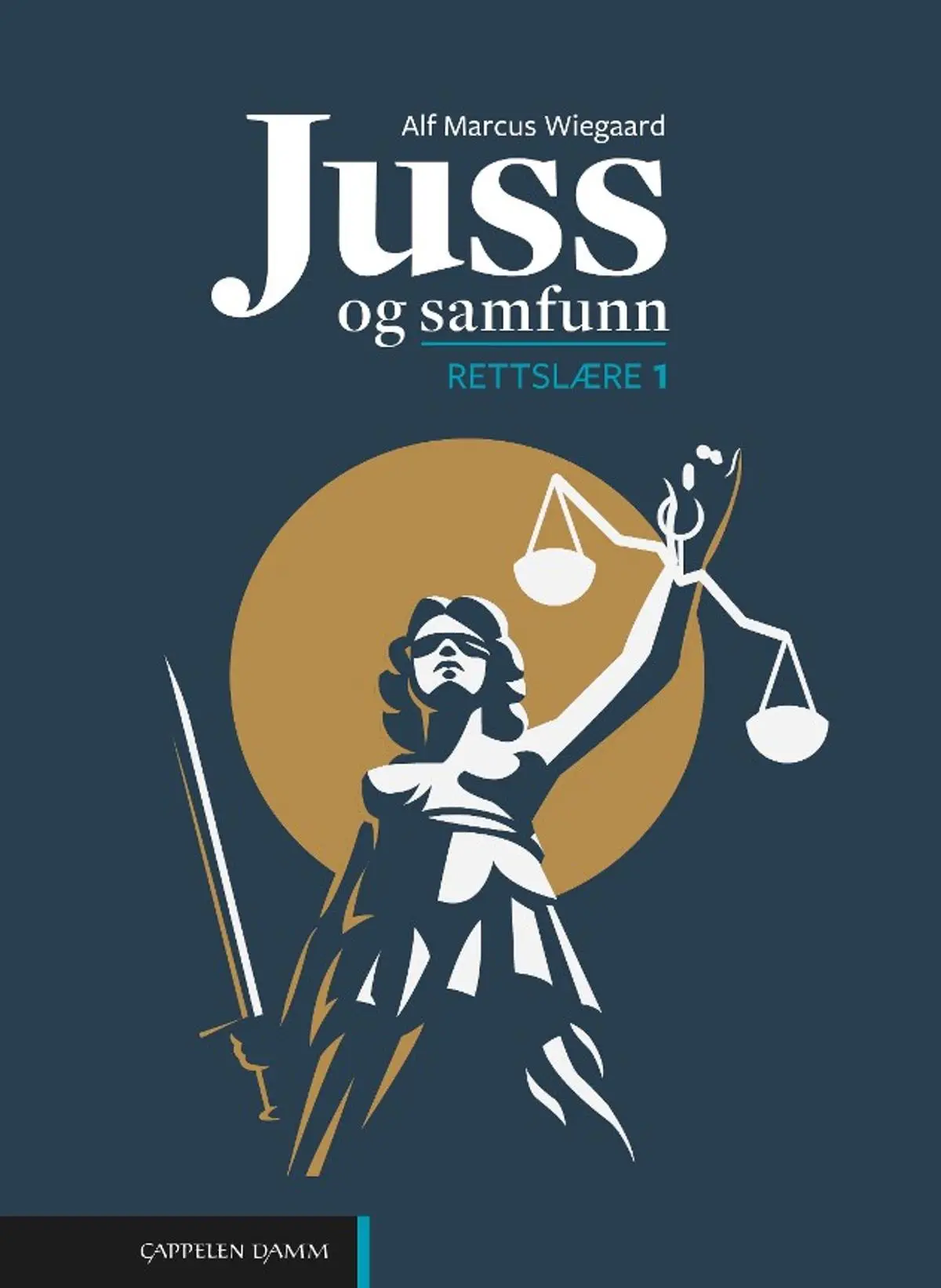 Juss og samfunn: rettslære 1