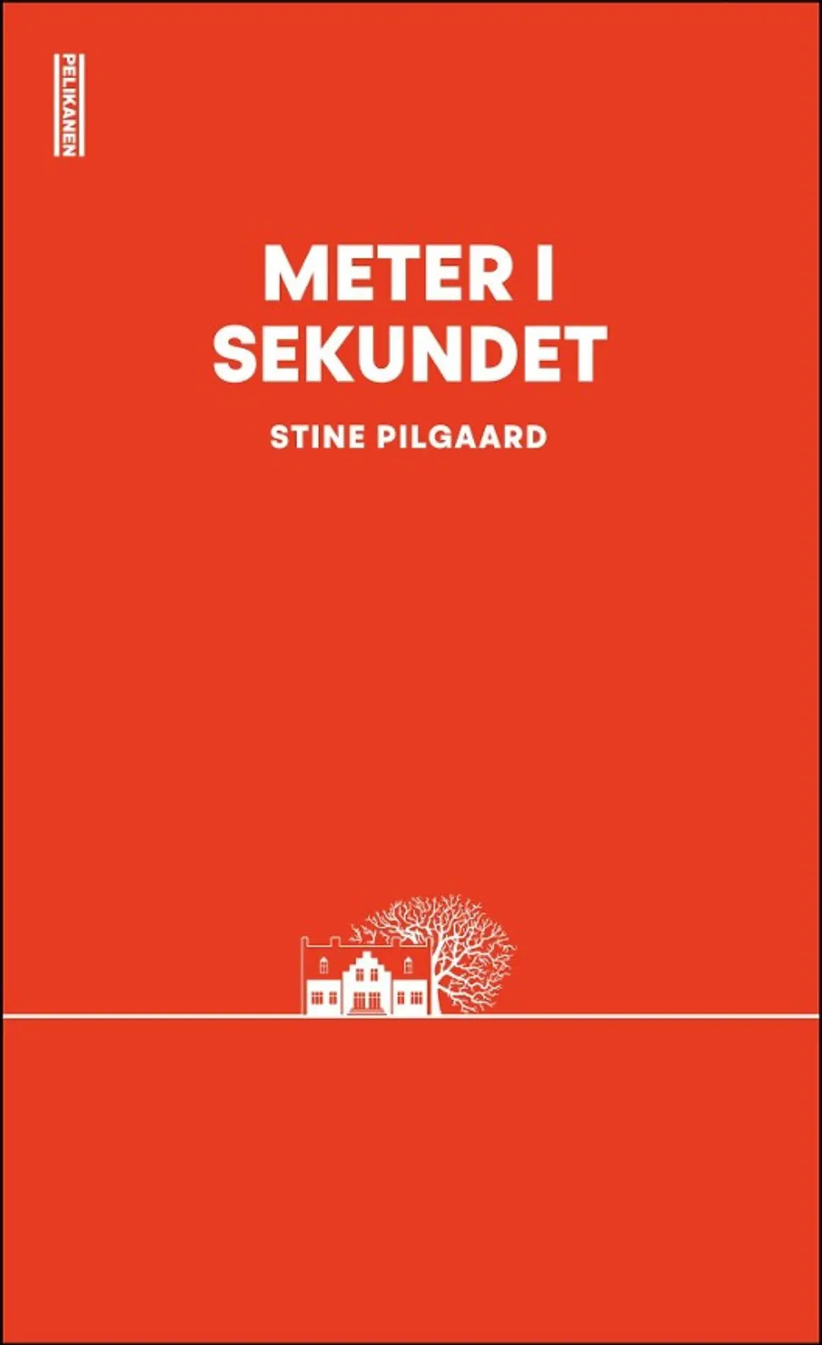 Meter i sekundet: roman