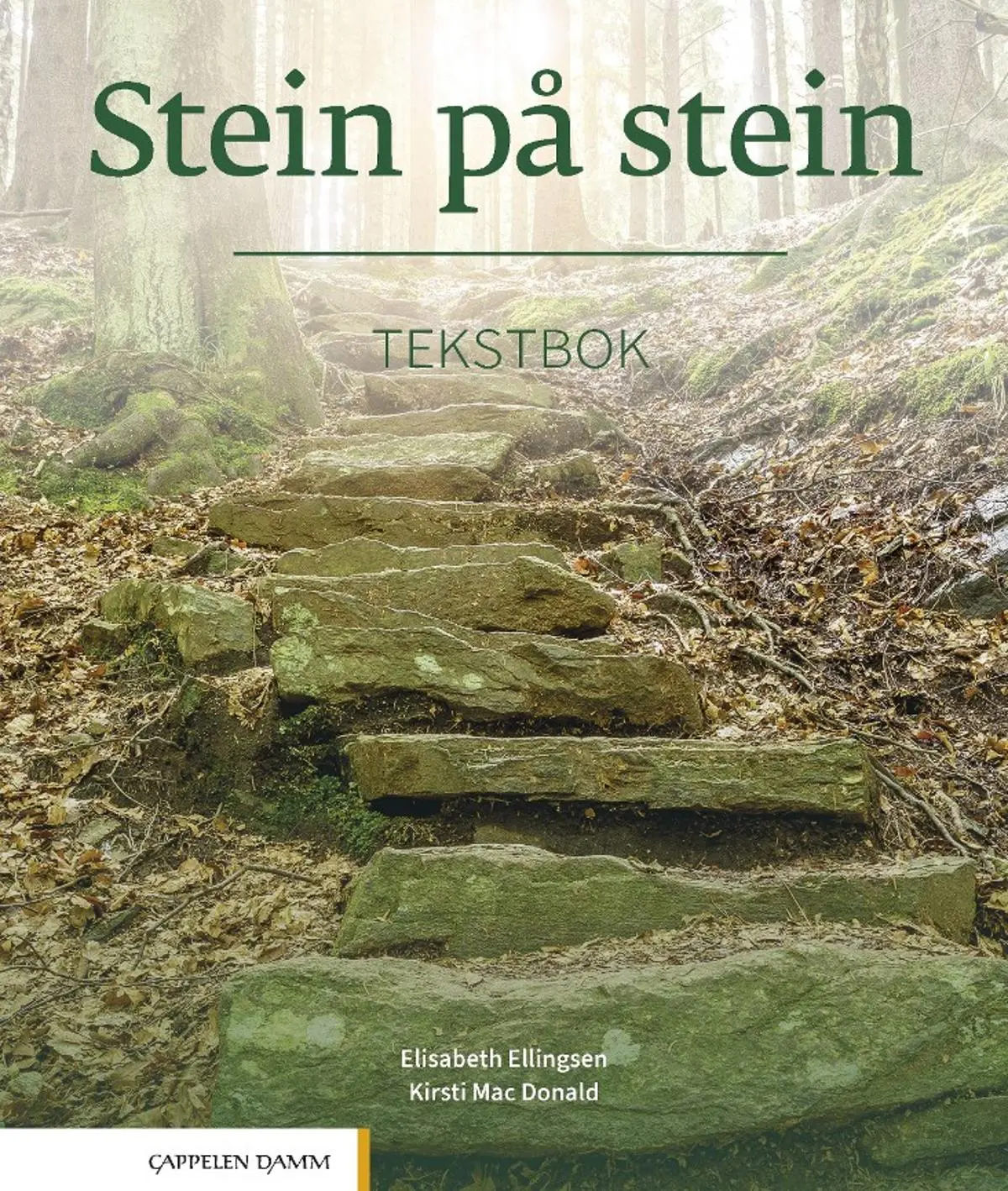 Stein på stein: Tekstbok : norsk og samfunnskunnskap for voksne innvandrere, nivå B1