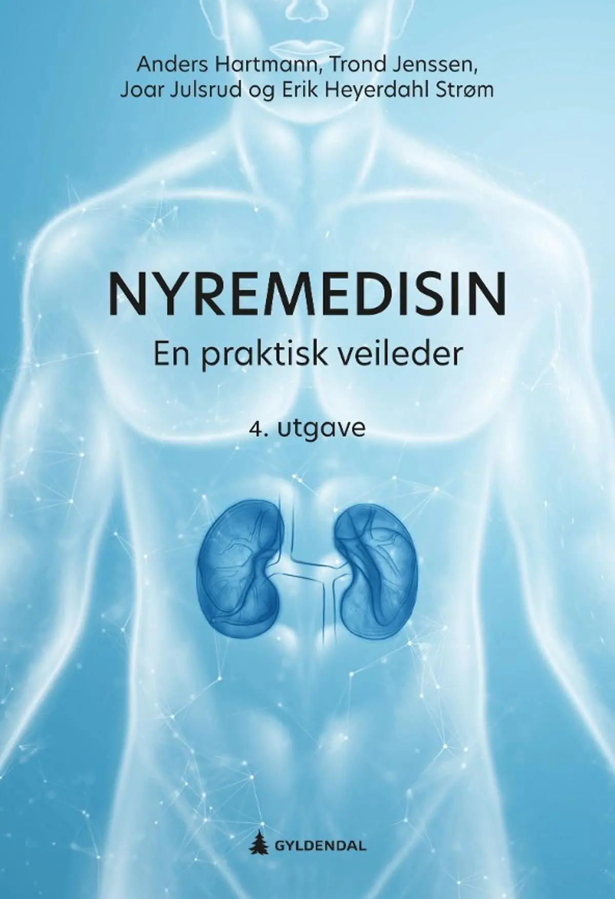 Nyremedisin: en praktisk veileder