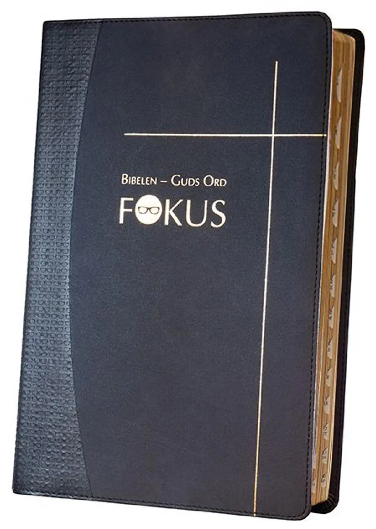 Bibelen - Guds ord fokus: studiebibel