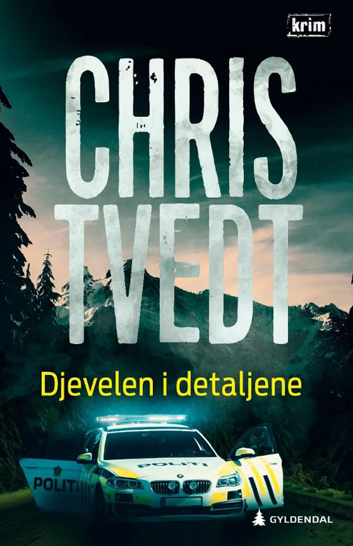Djevelen i detaljene: kriminalroman