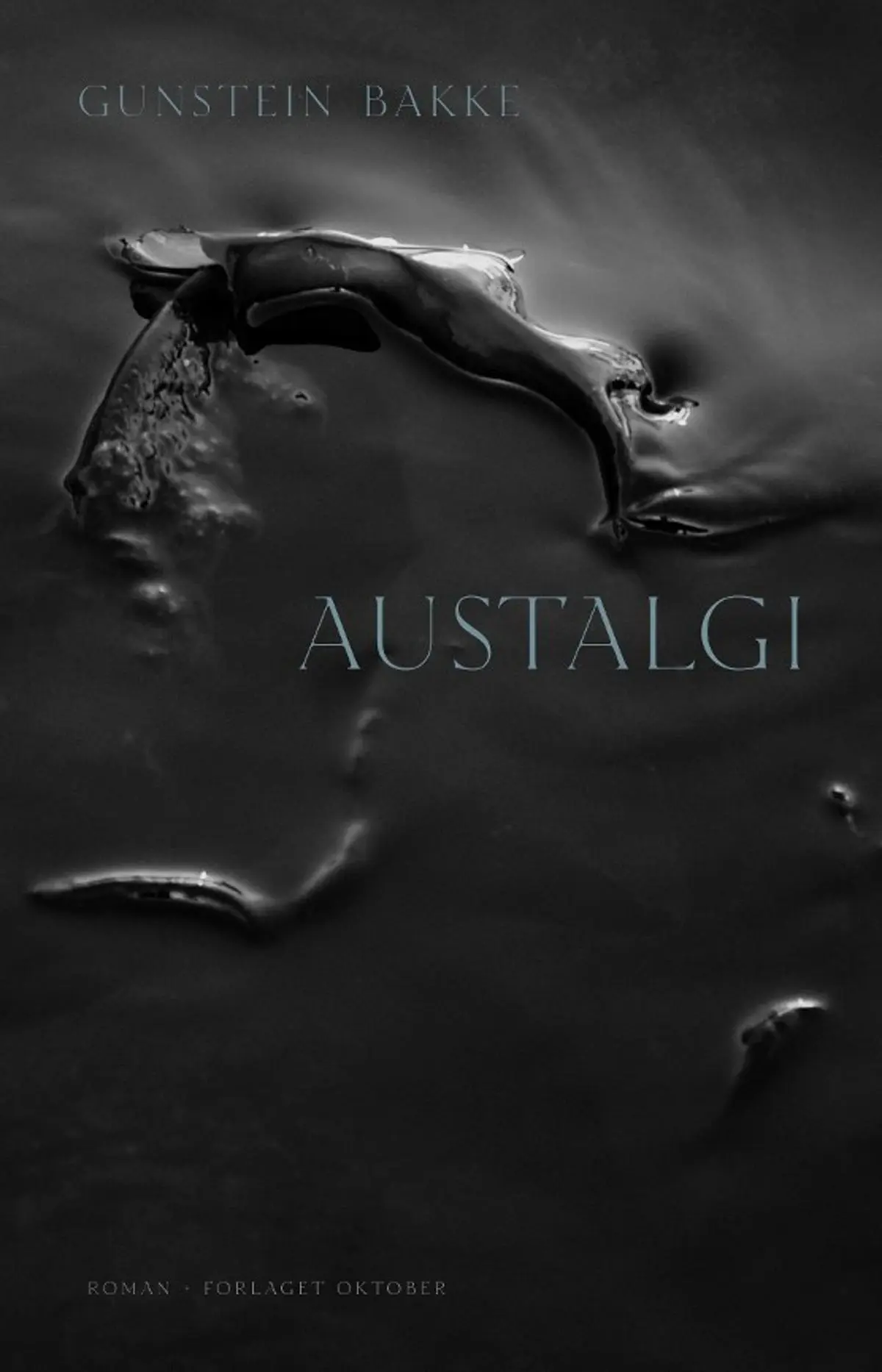 Austalgi: roman