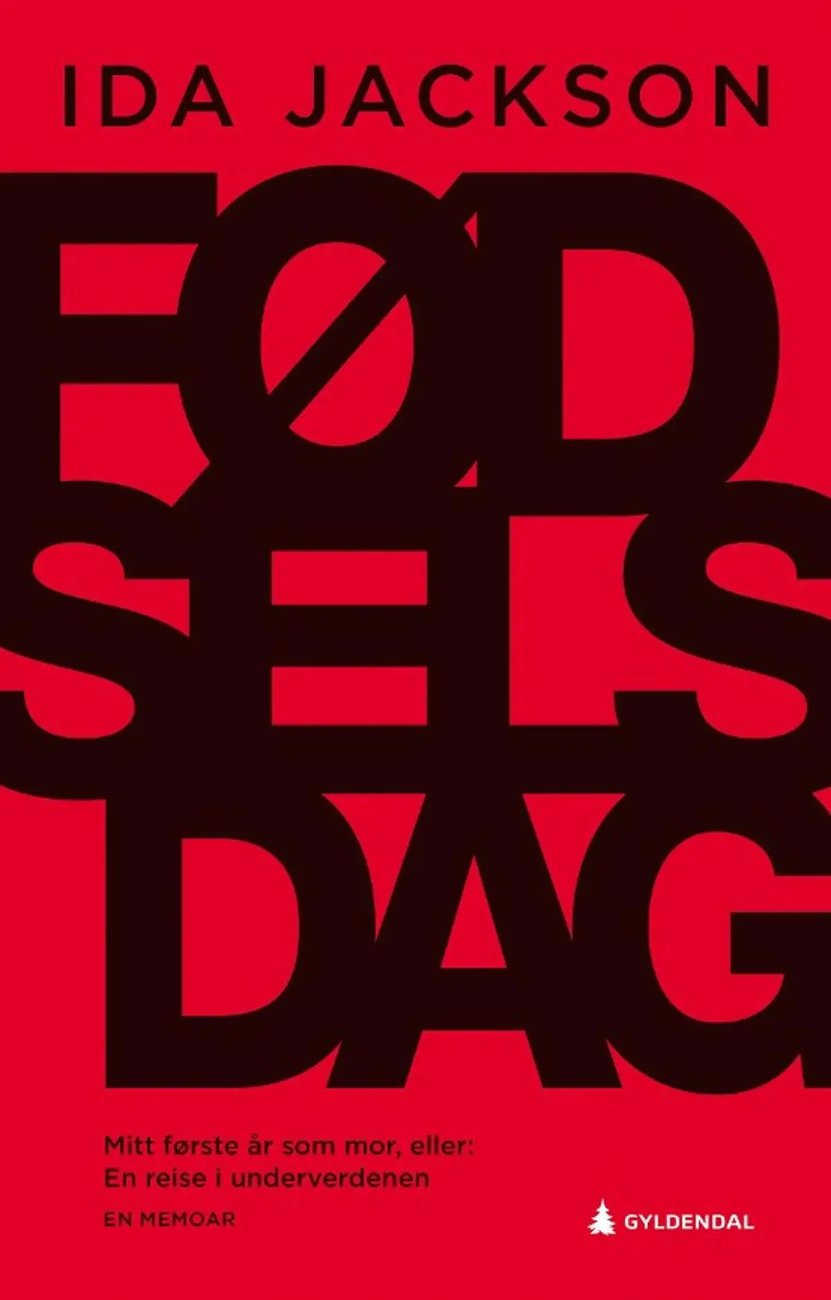 Fødselsdag: mitt første år som mor, eller En reise i underverdenen : en memoar