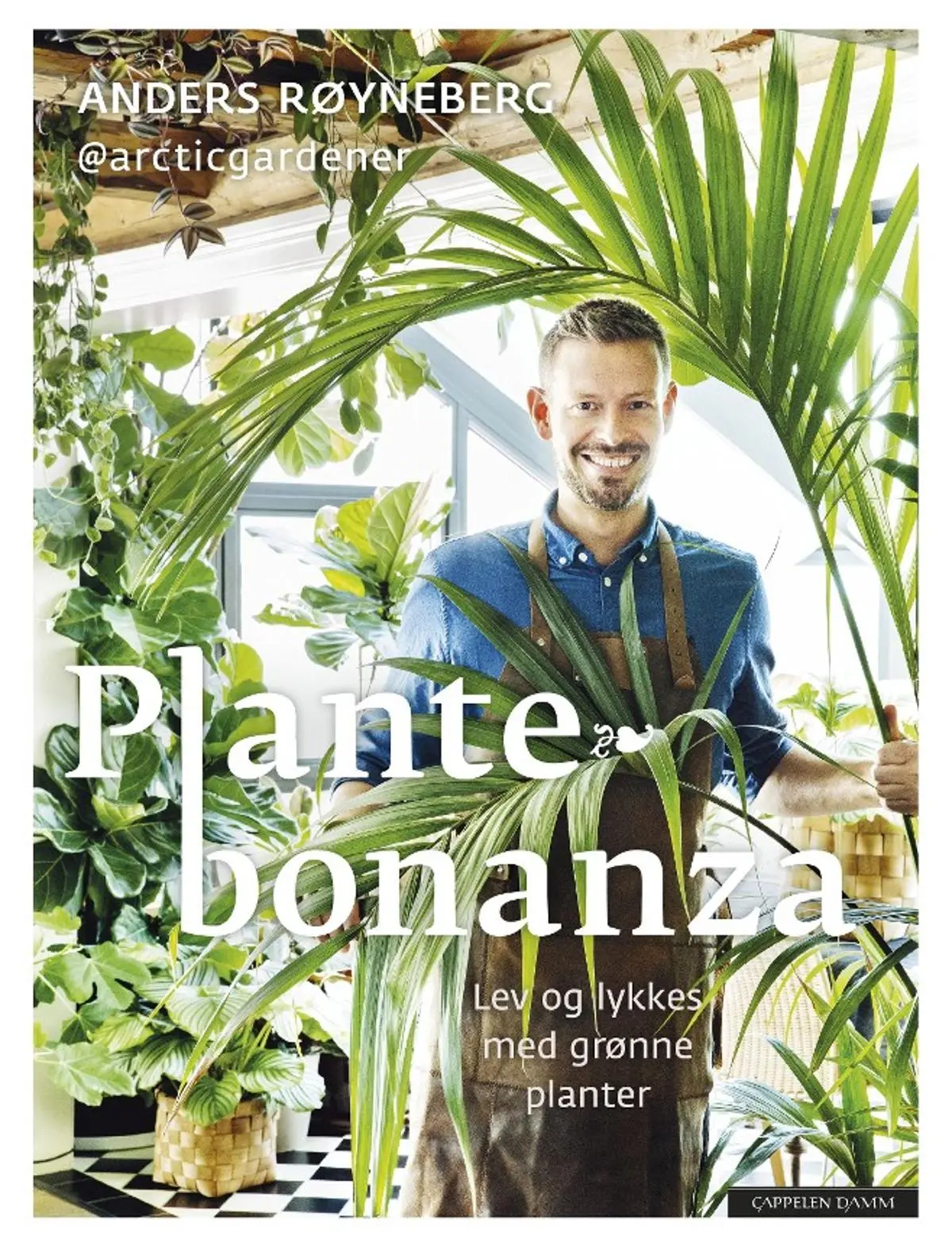 Plantebonanza: lev og lykkes med grønne planter