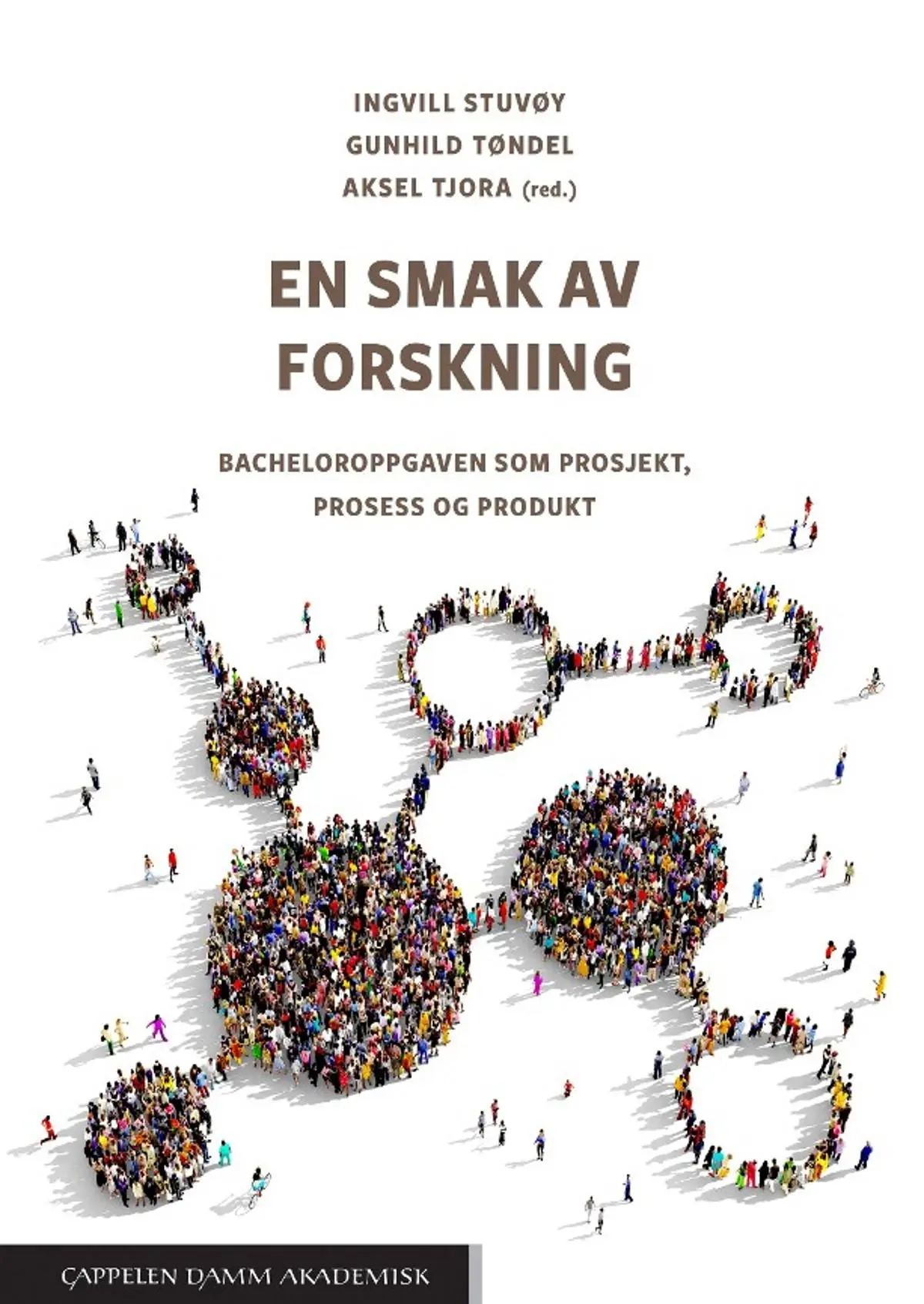 En smak av forskning: bacheloroppgaven som prosjekt, prosess og produkt