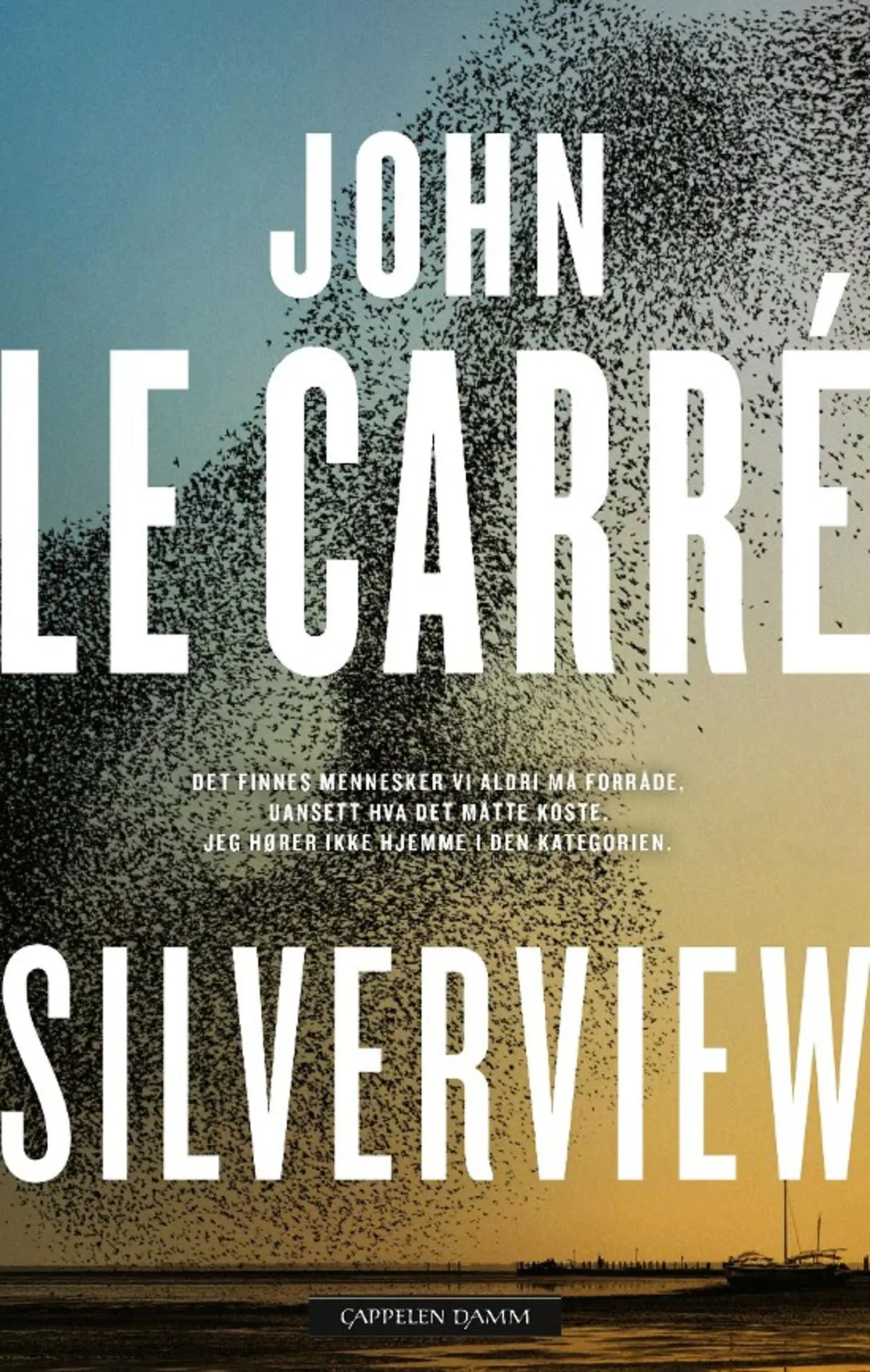 Silverview