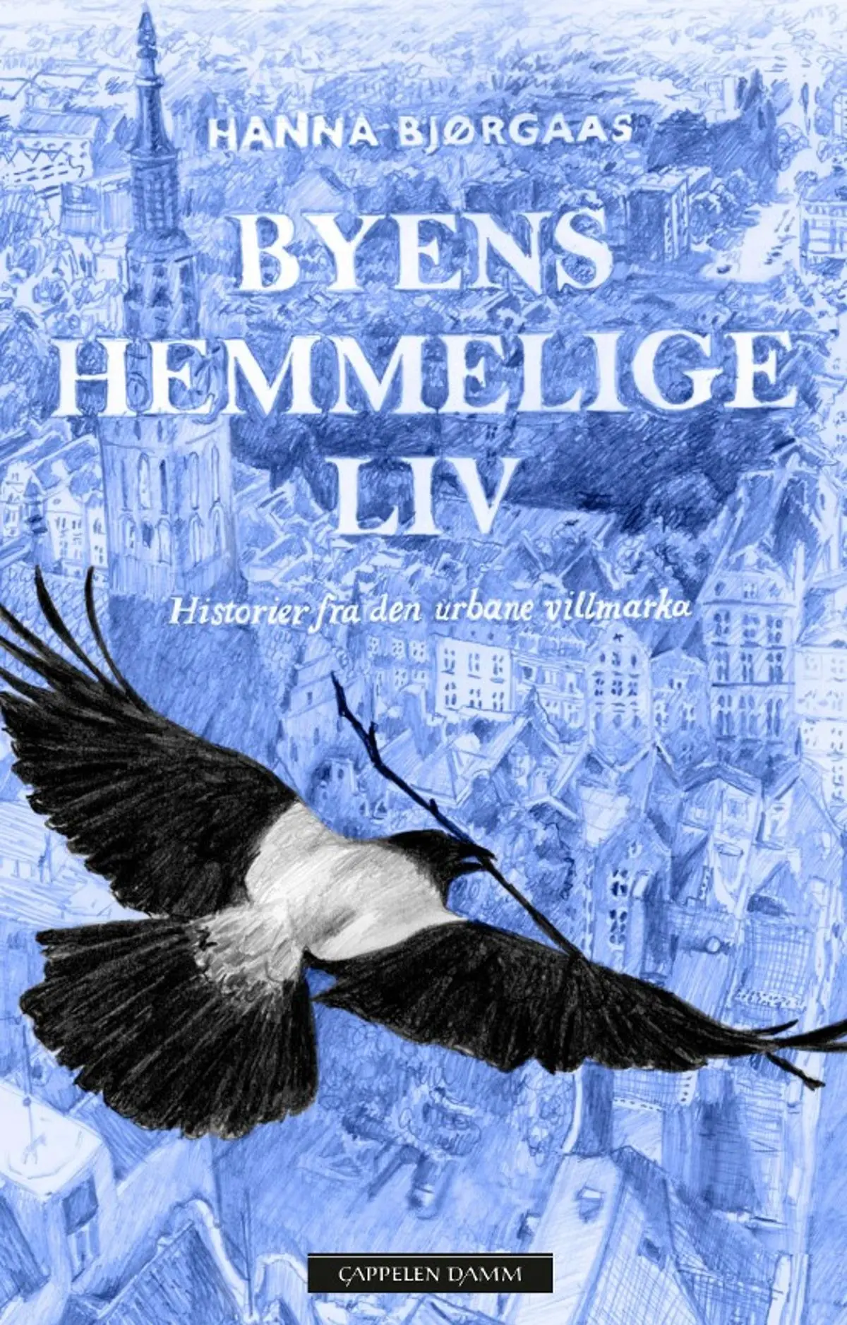Byens hemmelige liv: historier fra den urbane villmarka