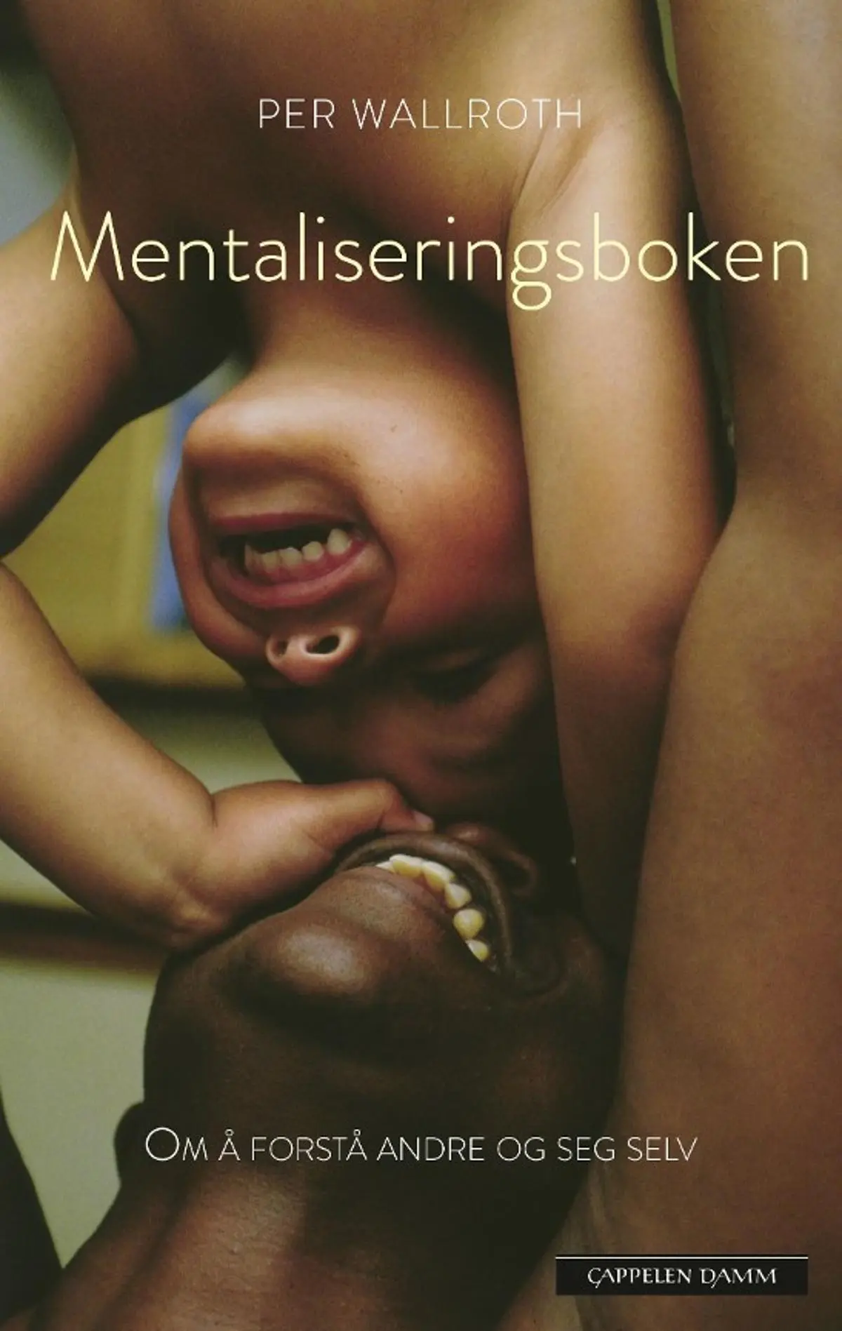 Mentaliseringsboken: om å forstå andre og seg selv
