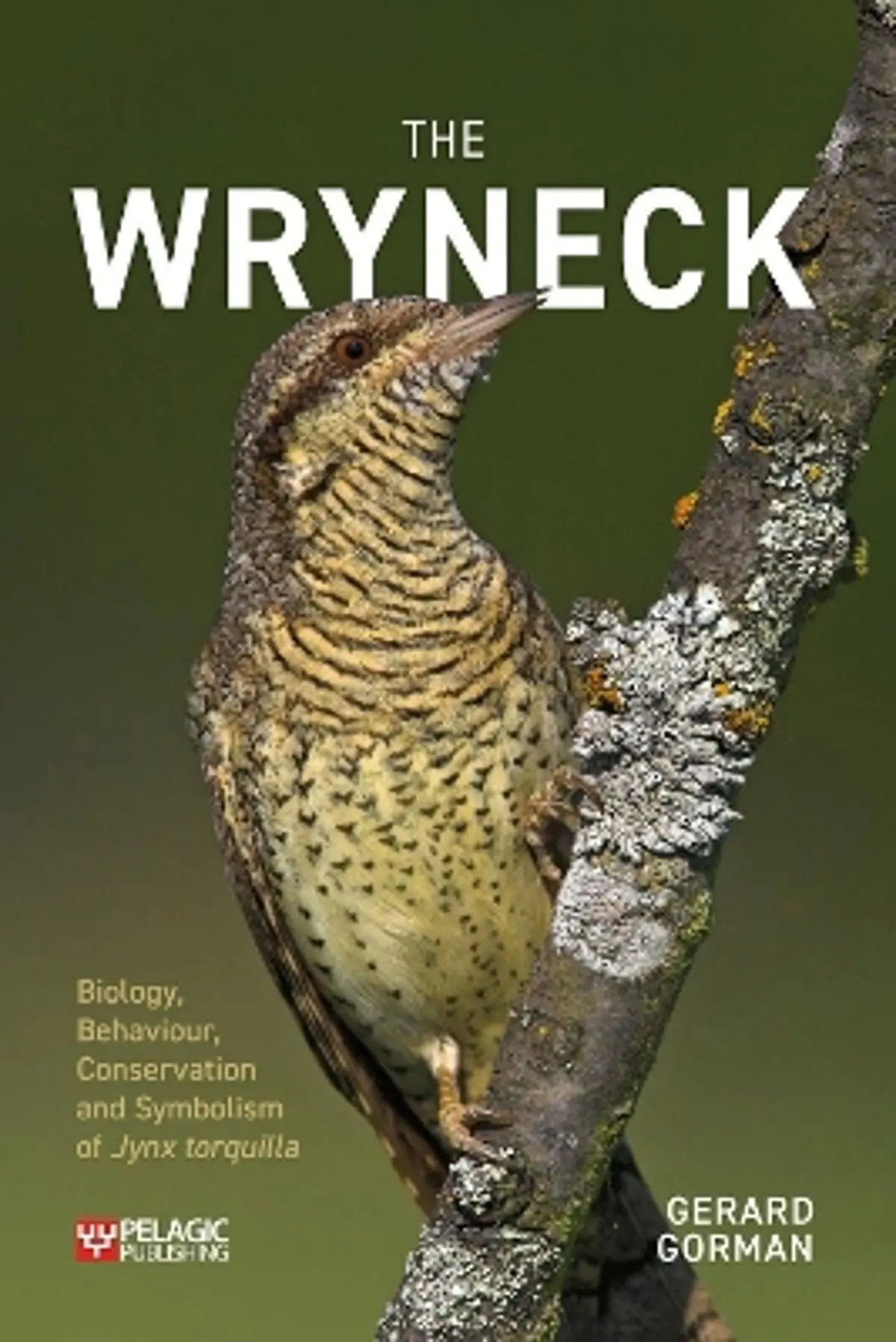 Wryneck: Biology, Behaviour, Conservation and Symbolism of Jynx torquilla