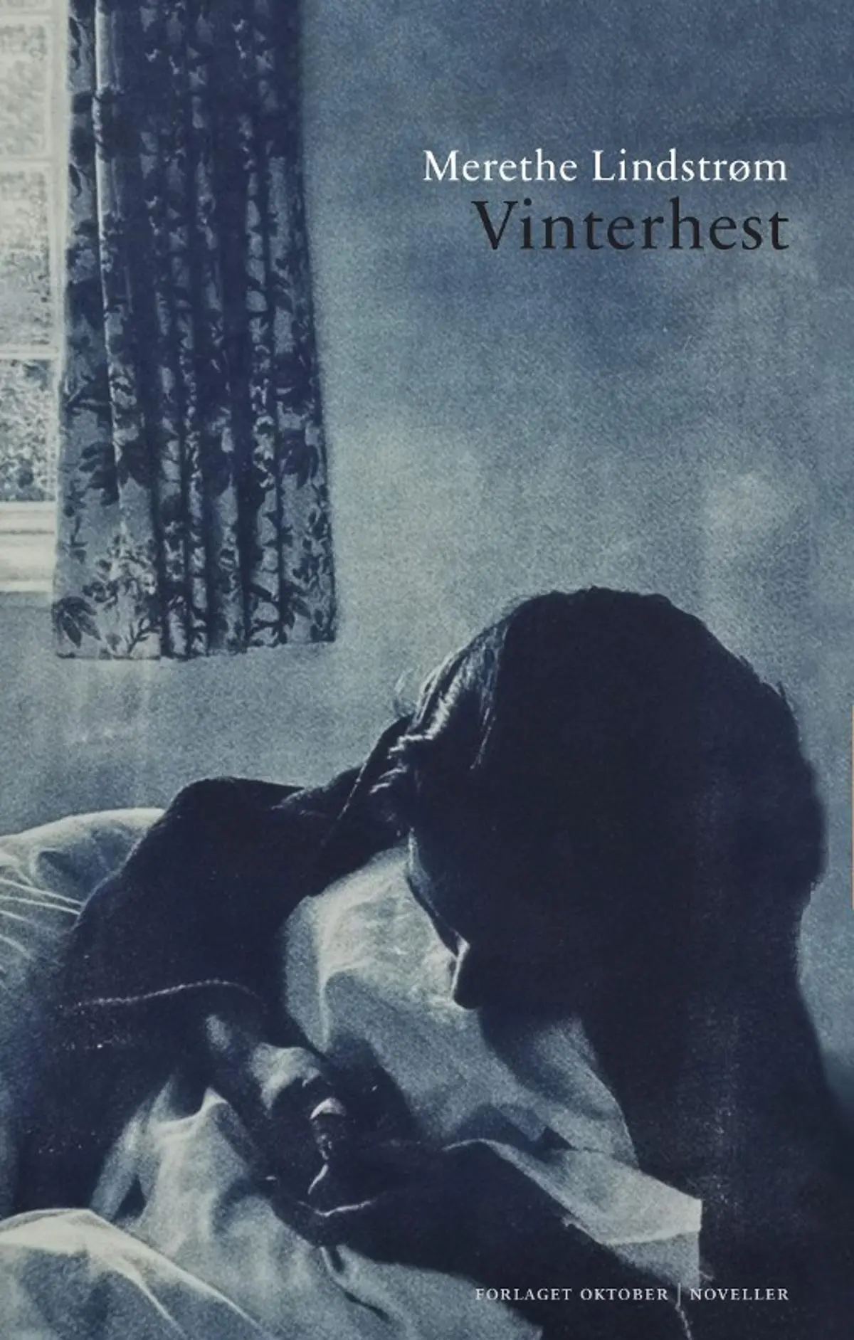 Vinterhest: noveller