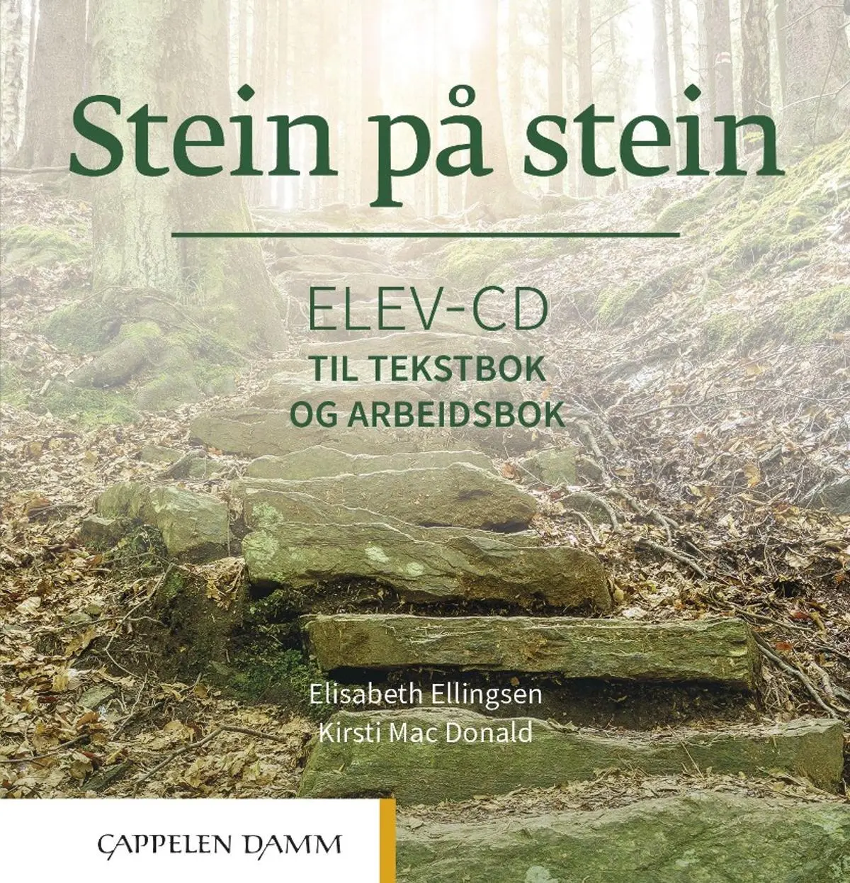 Stein på stein: Elev-CD til tekstbok og arbeidsbok