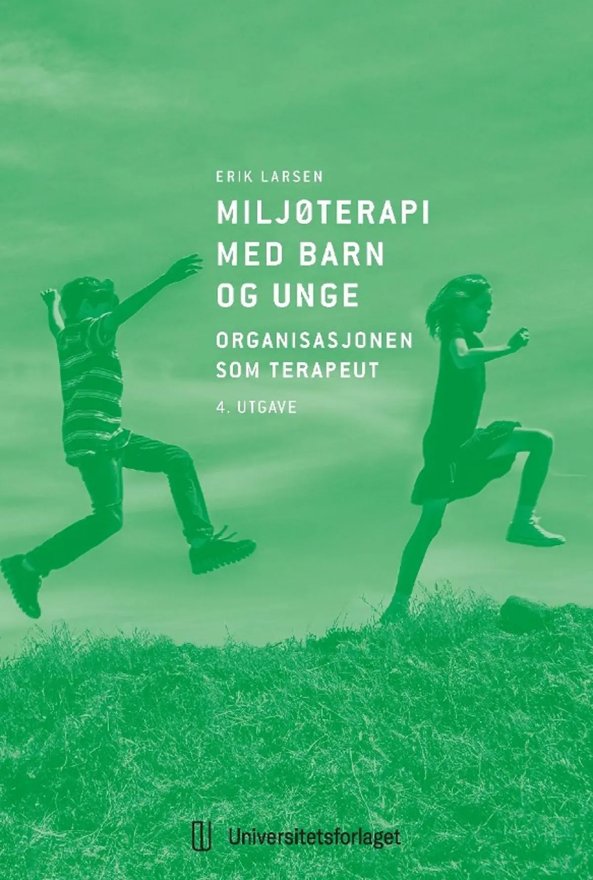 Miljøterapi med barn og unge: organisasjonen som terapeut