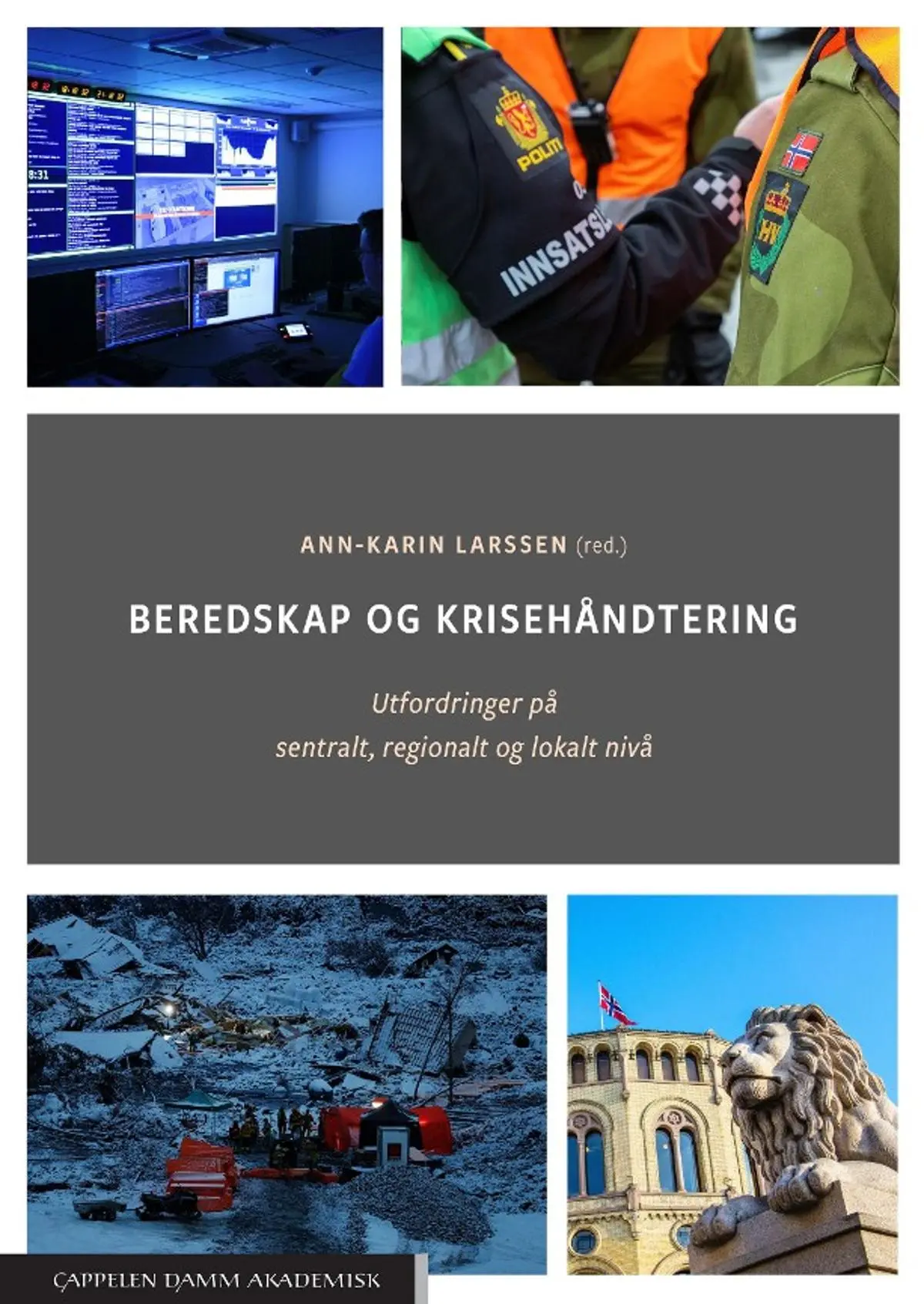 Beredskap og krisehåndtering: utfordringer på sentralt, regionalt og lokalt nivå