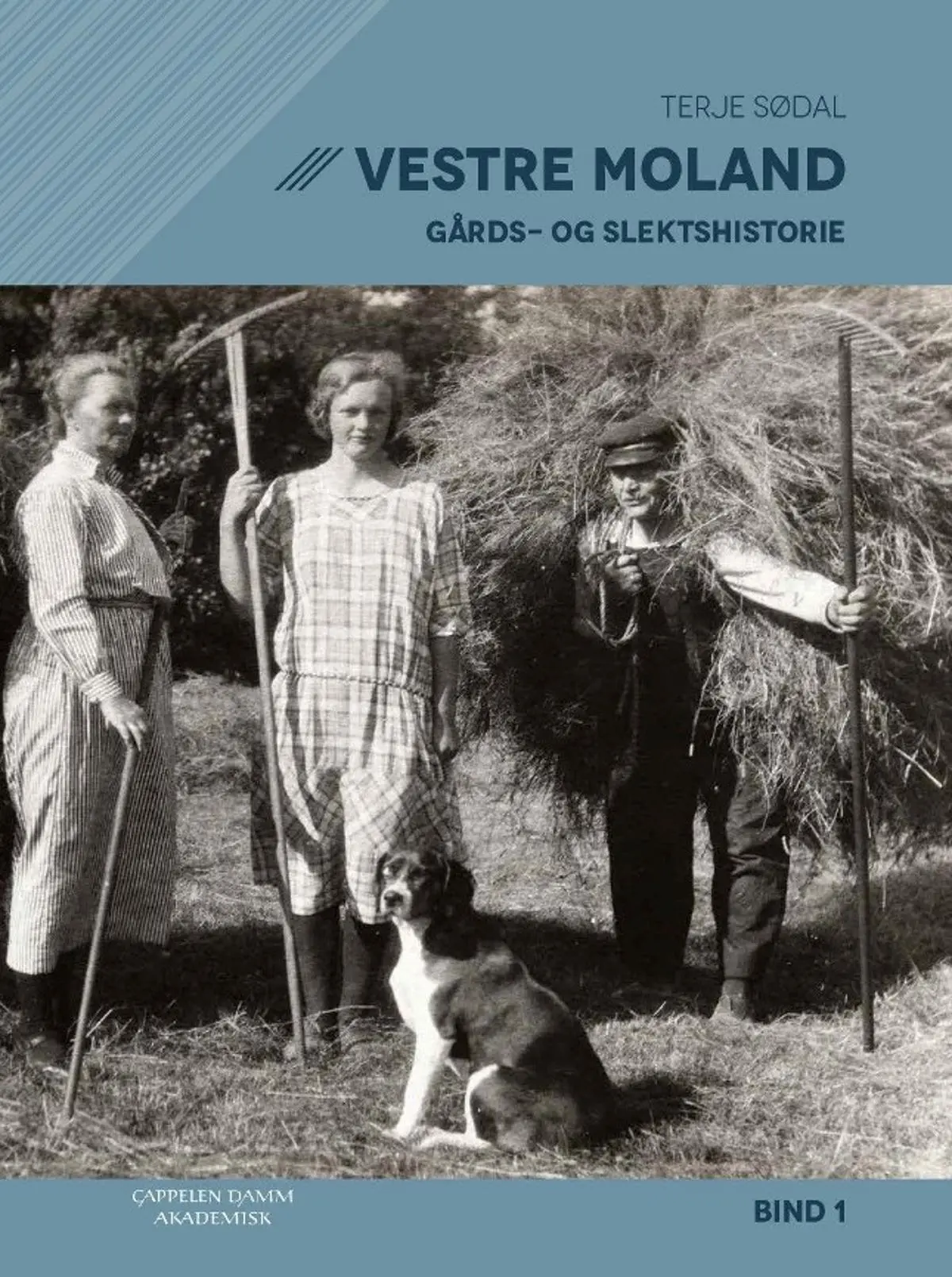 Vestre Moland gårds- og slektshistorie: Bind 1
