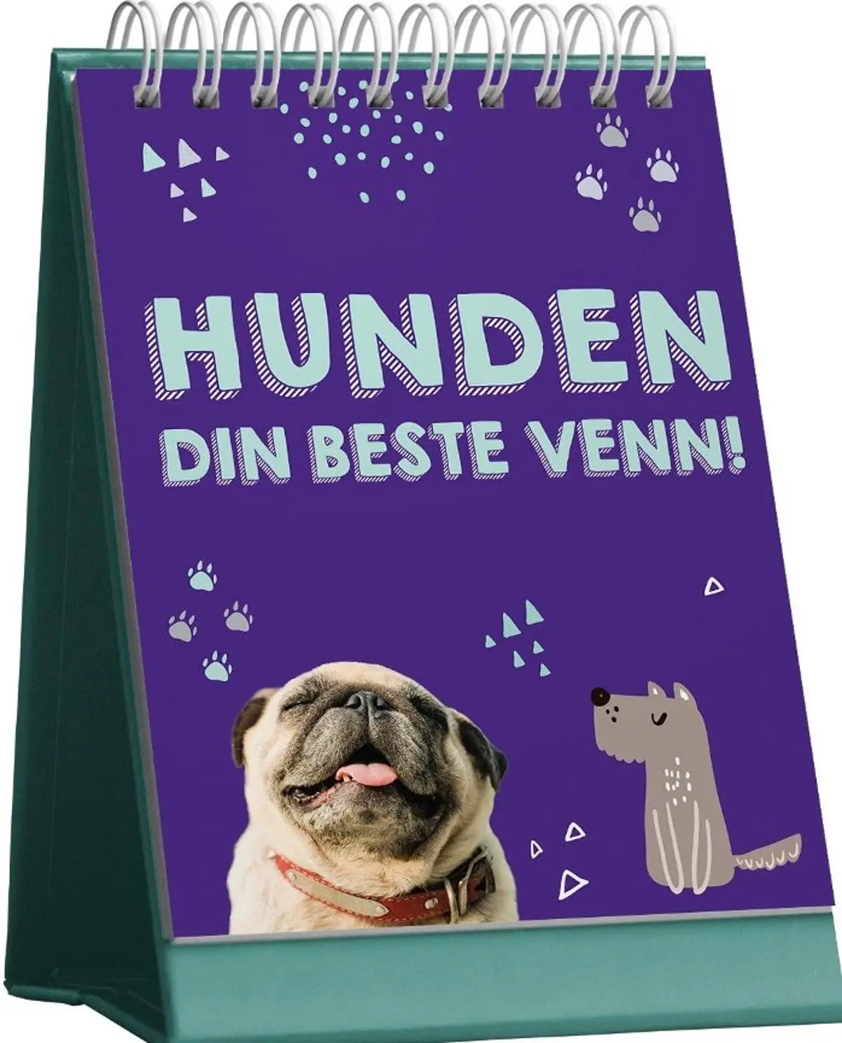 Hunden: din beste venn