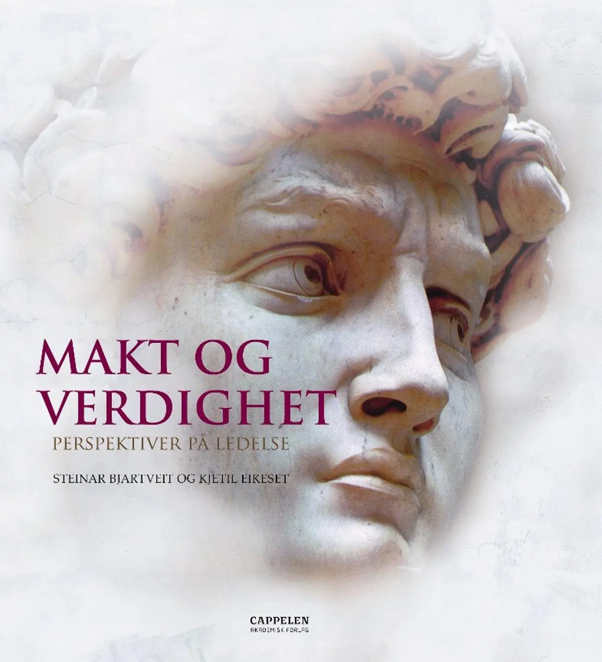 Makt og verdighet: perspektiver på ledelse