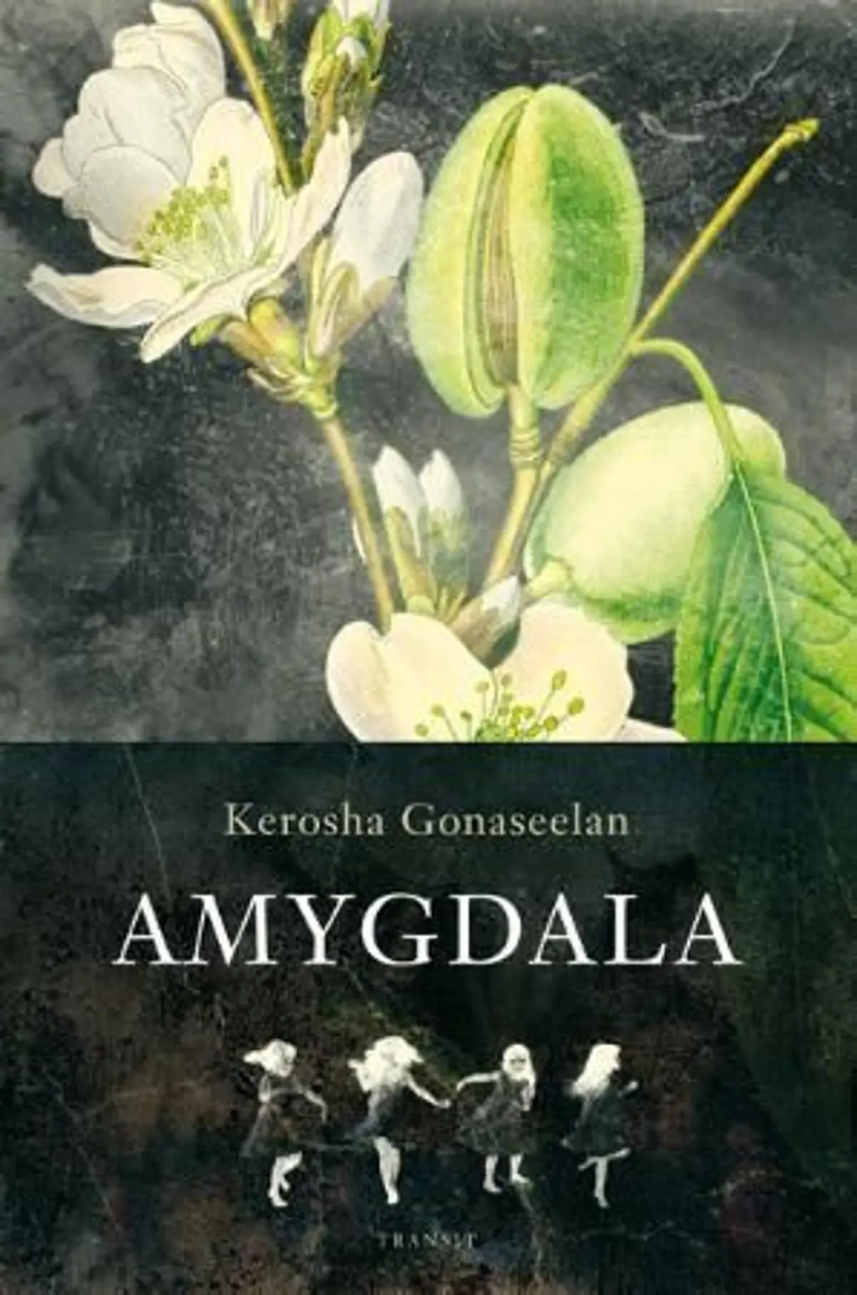 Amygdala: roman