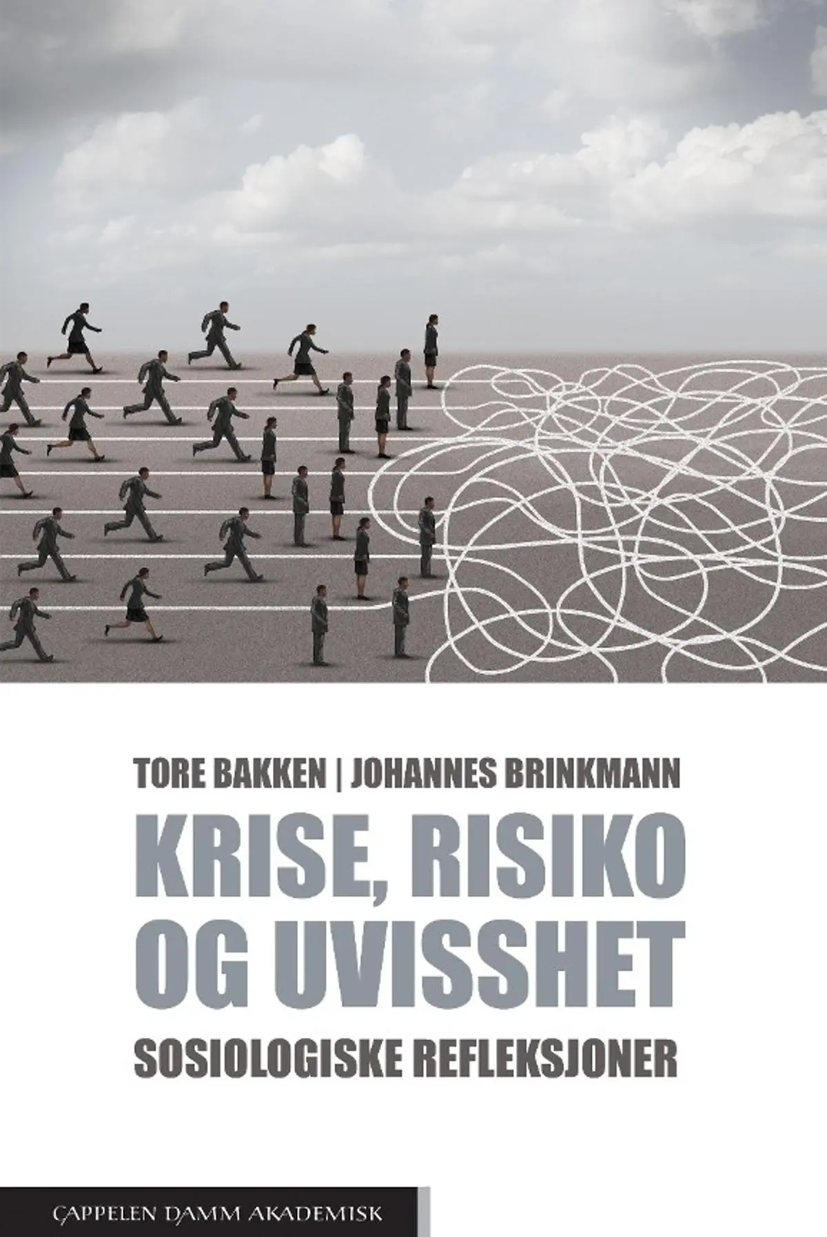 Krise, risiko og uvisshet: sosiologiske refleksjoner
