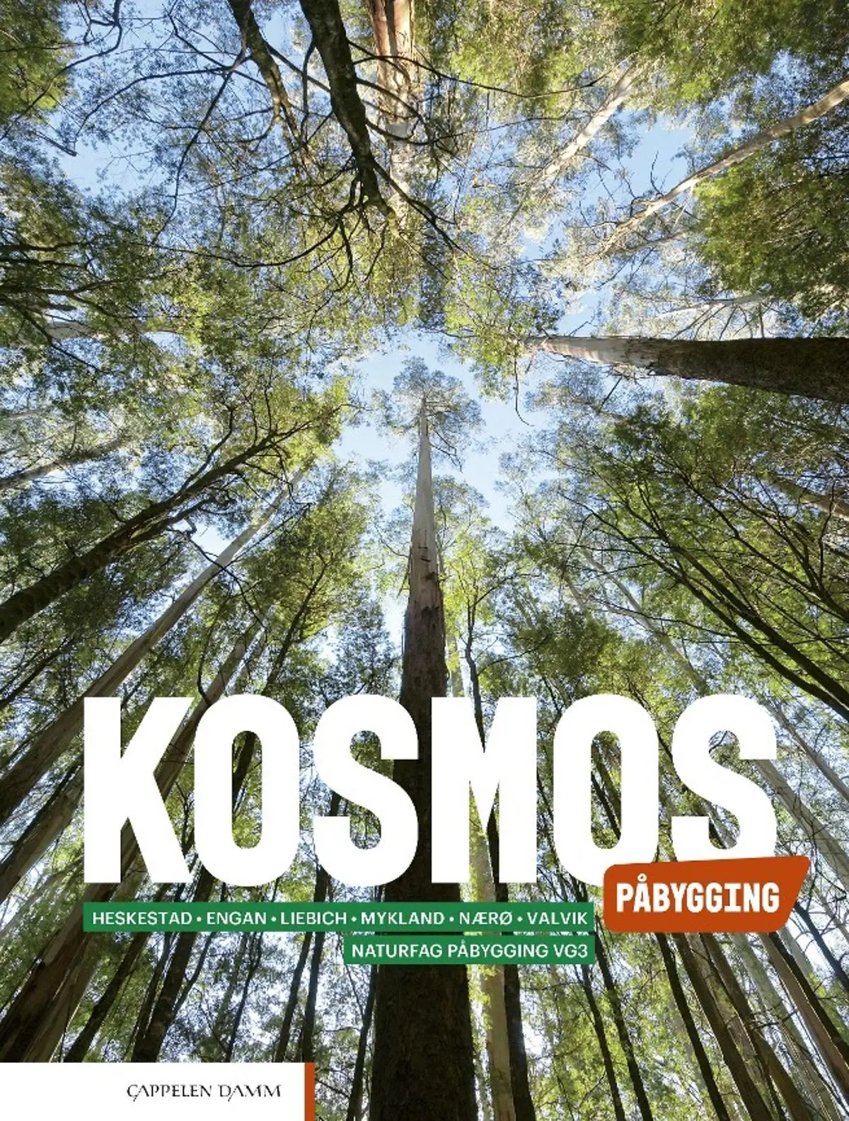 Kosmos påbygging: Lærebok : påbygging til generell studiekompetanse i naturfag