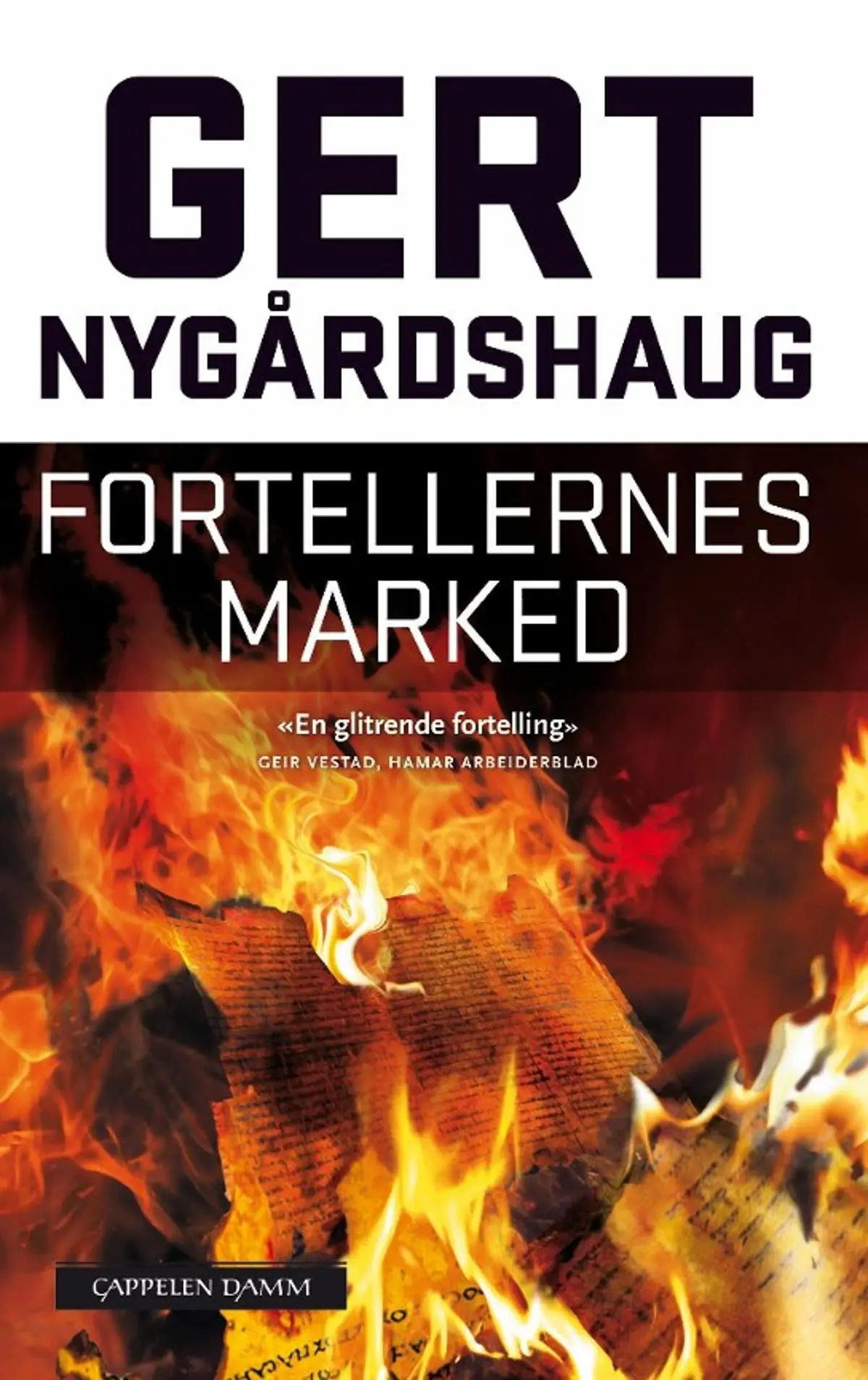 Fortellernes marked: historien om Gotvin Solengs oppdagelser