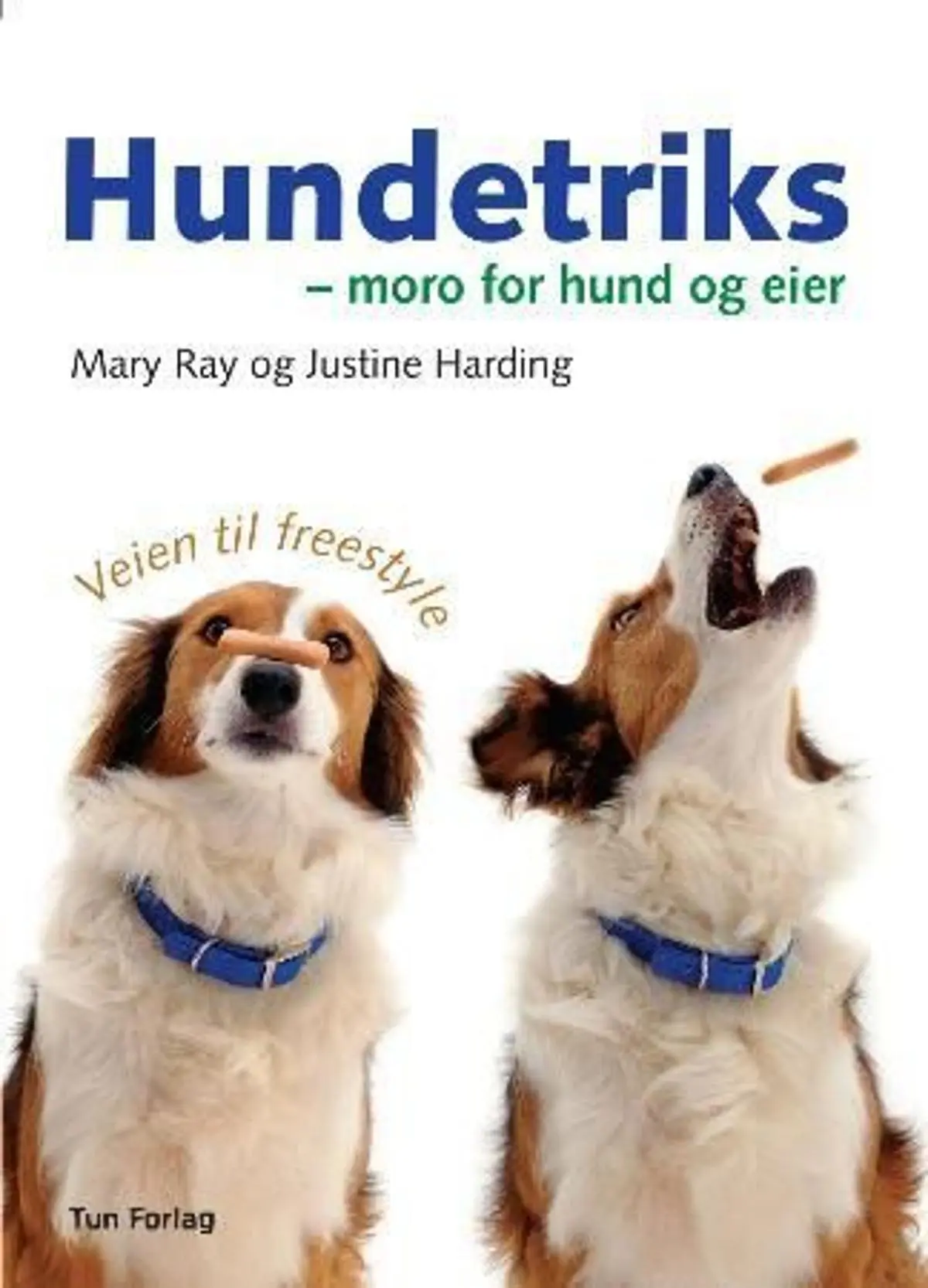 Hundetriks: moro for hund og eier