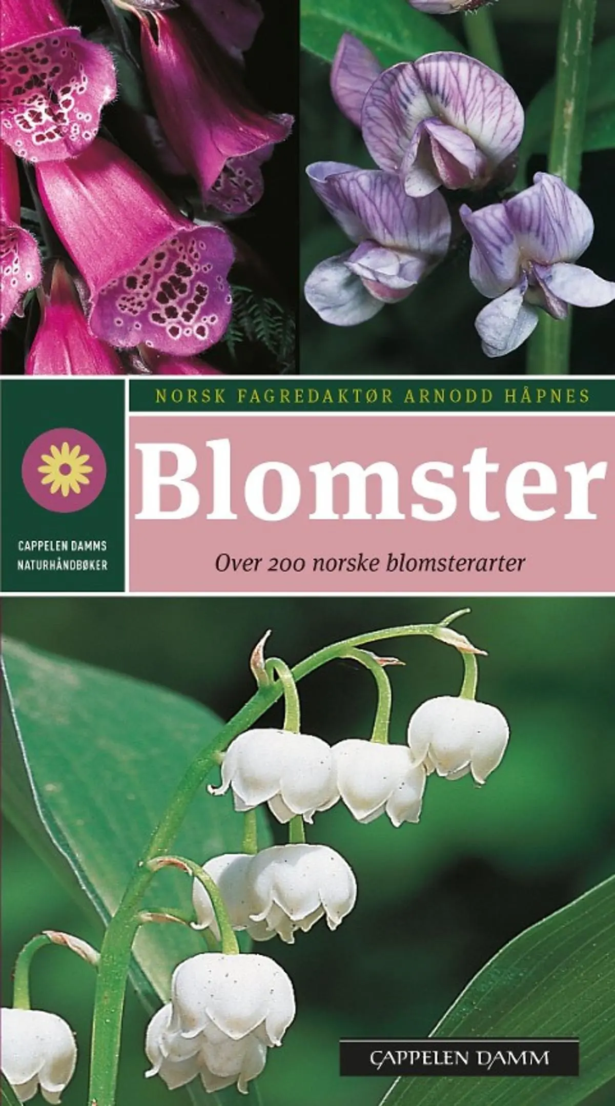 Blomster: enkel og sikker artsbestemmelse