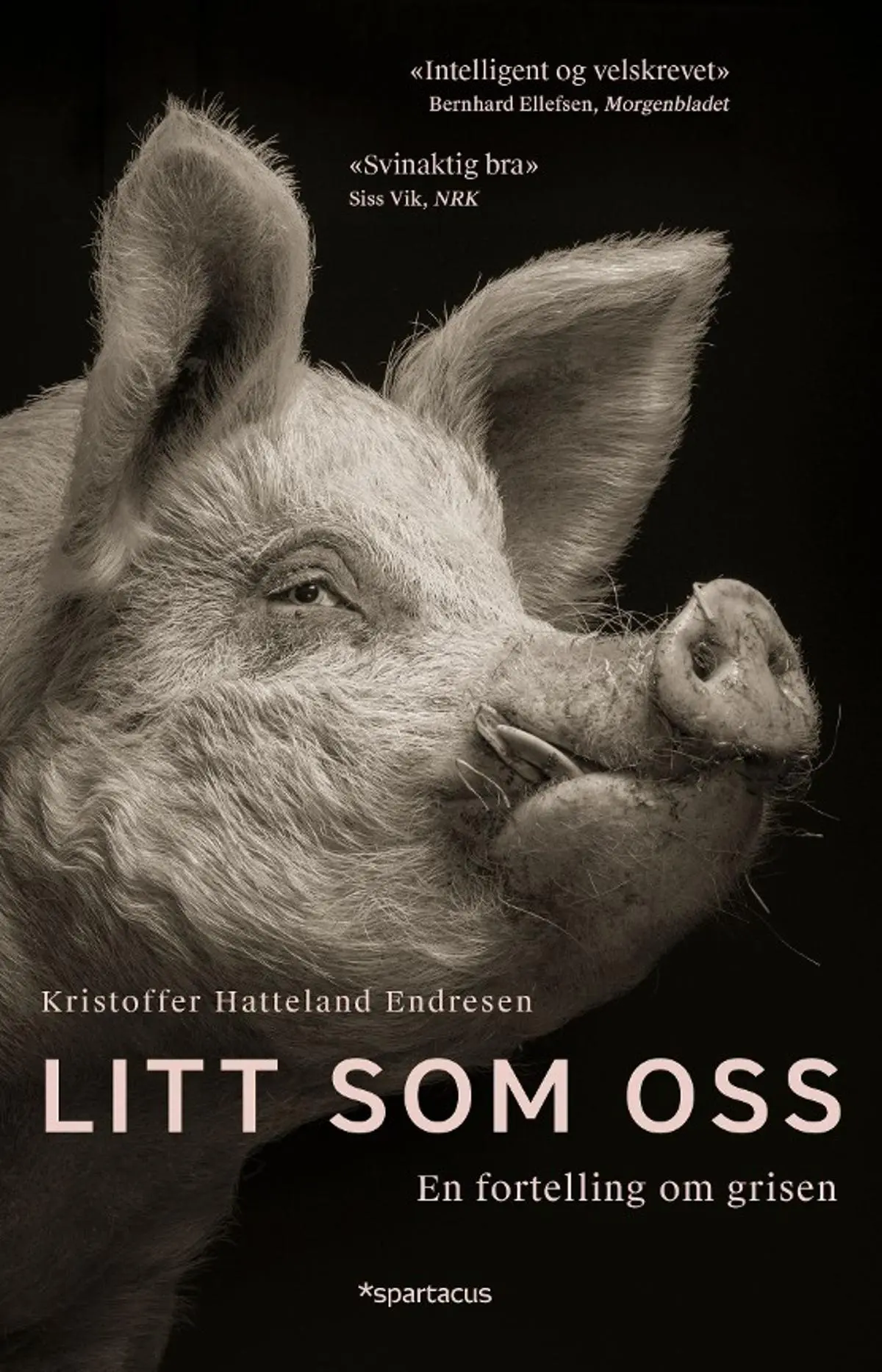 Litt som oss: en fortelling om grisen