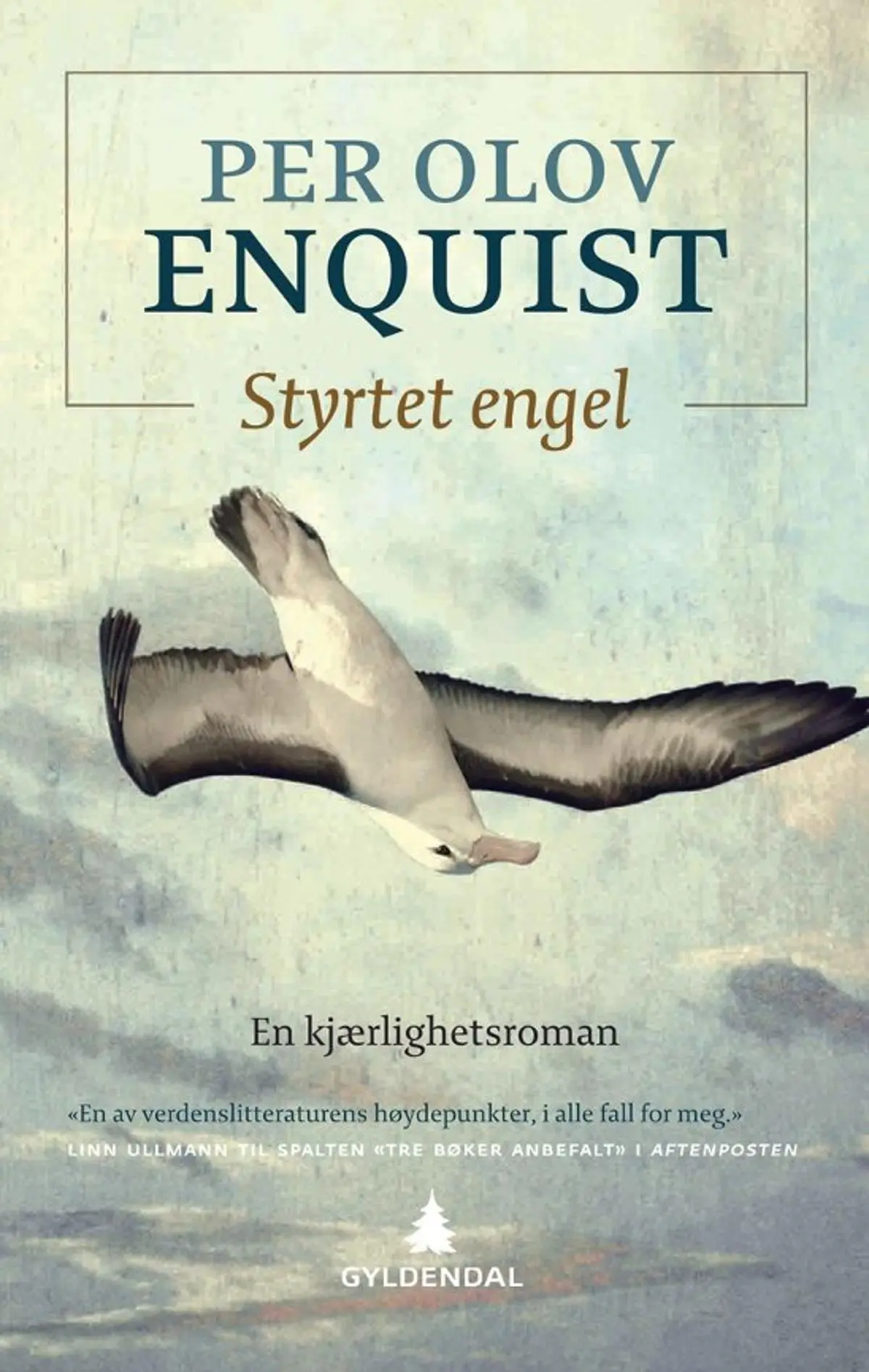 Styrtet engel: en kjærlighetsroman
