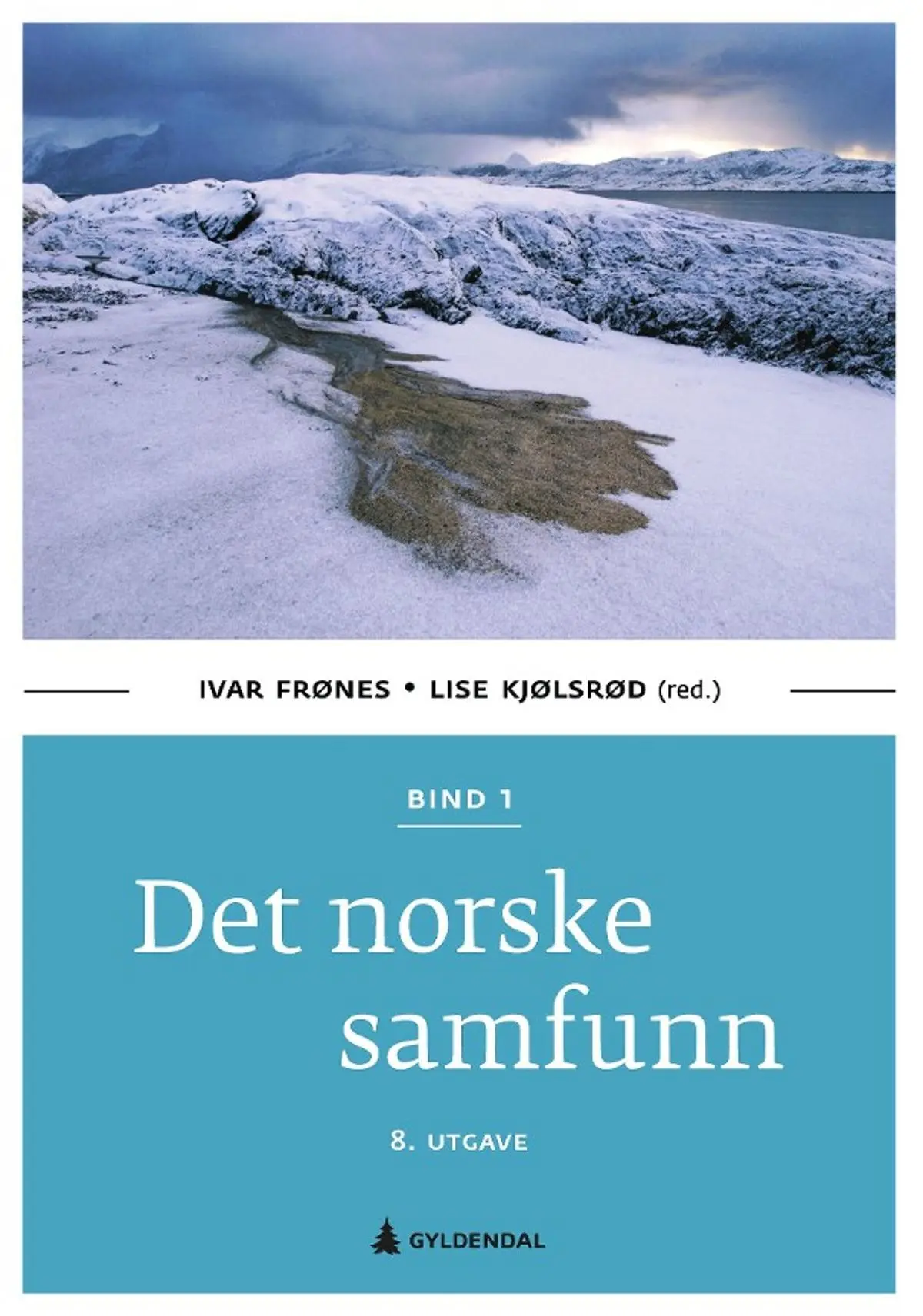 Det norske samfunn: Bind 1