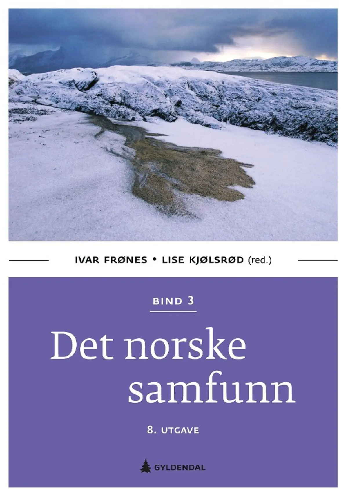 Det norske samfunn: Bind 3
