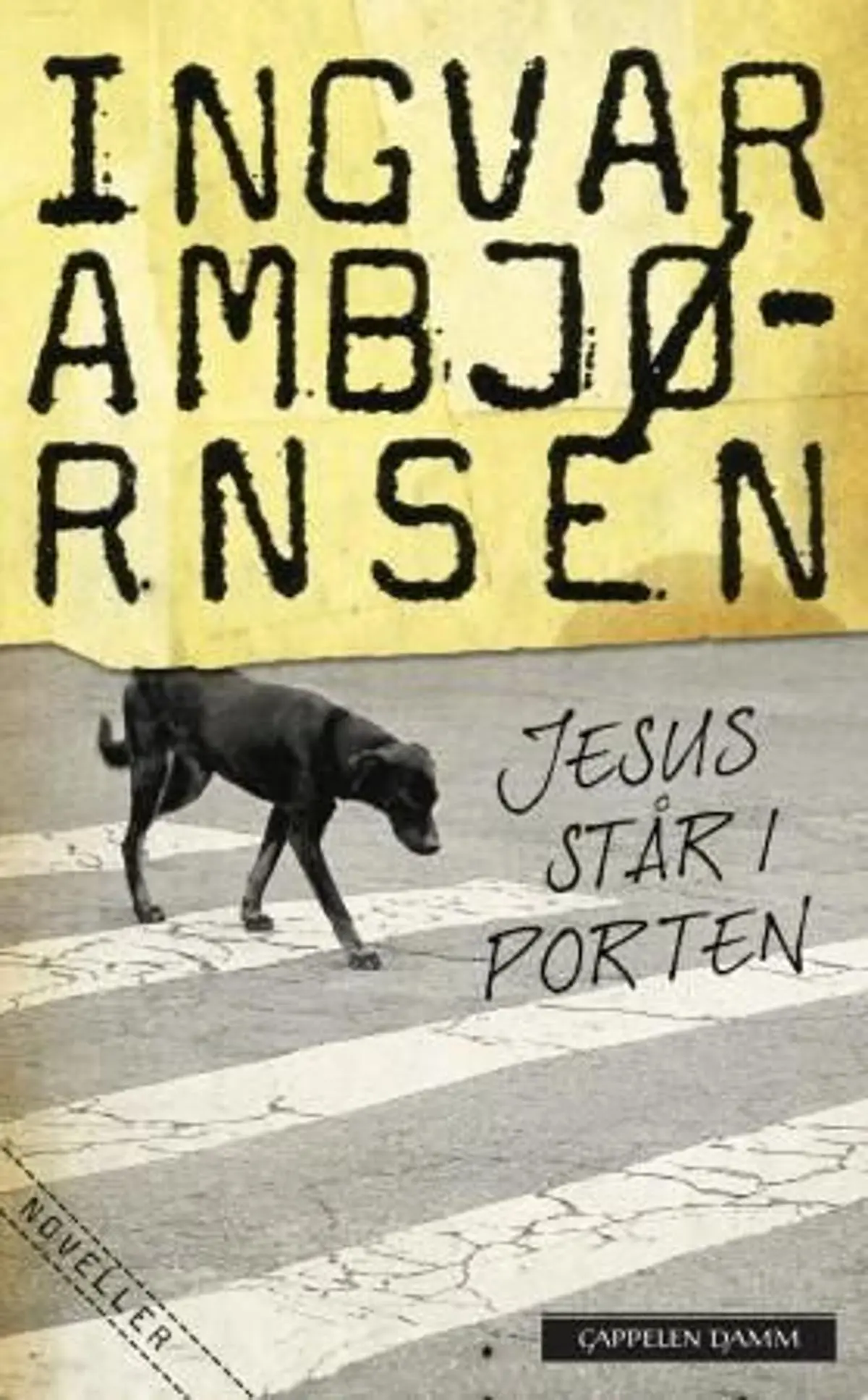 Jesus står i porten: fortellinger