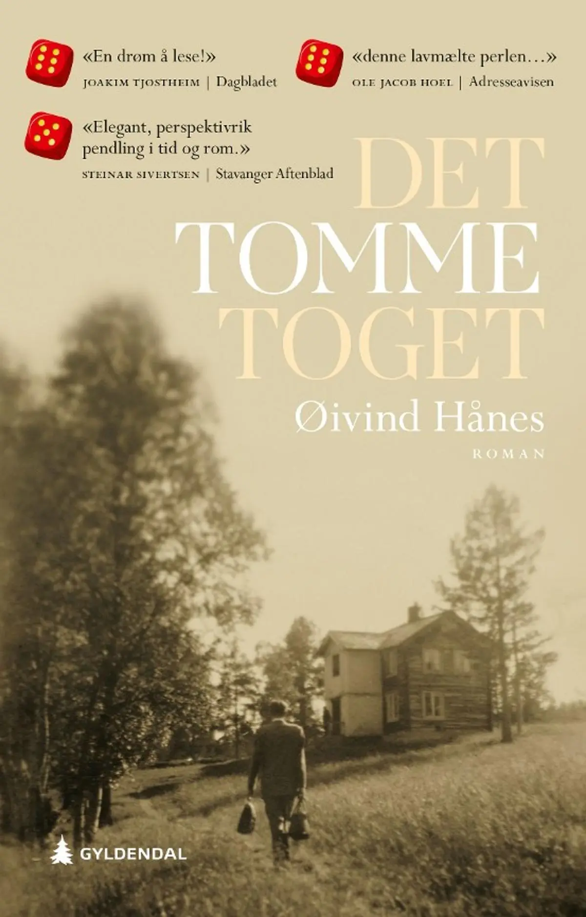 Det tomme toget: roman