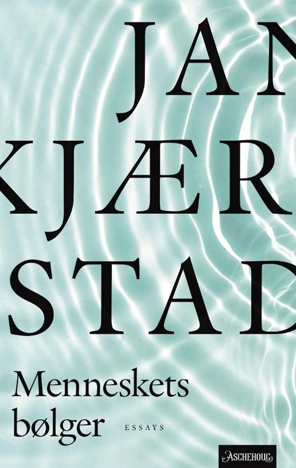 Menneskets bølger: essays og artikler