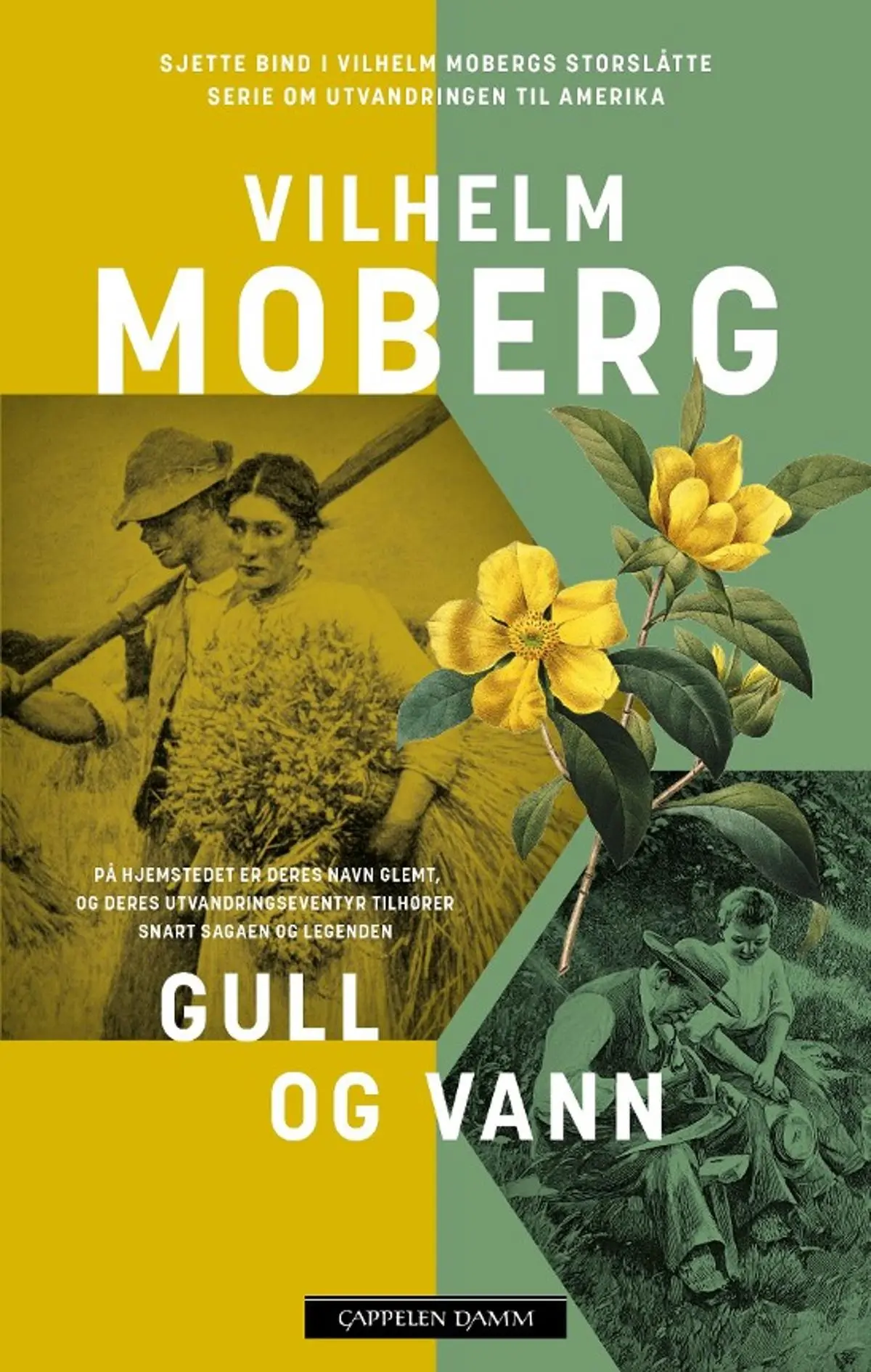 Gull og vann: nybyggerne 2