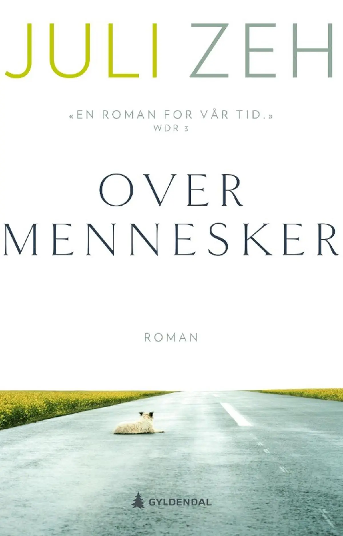 Over mennesker: roman