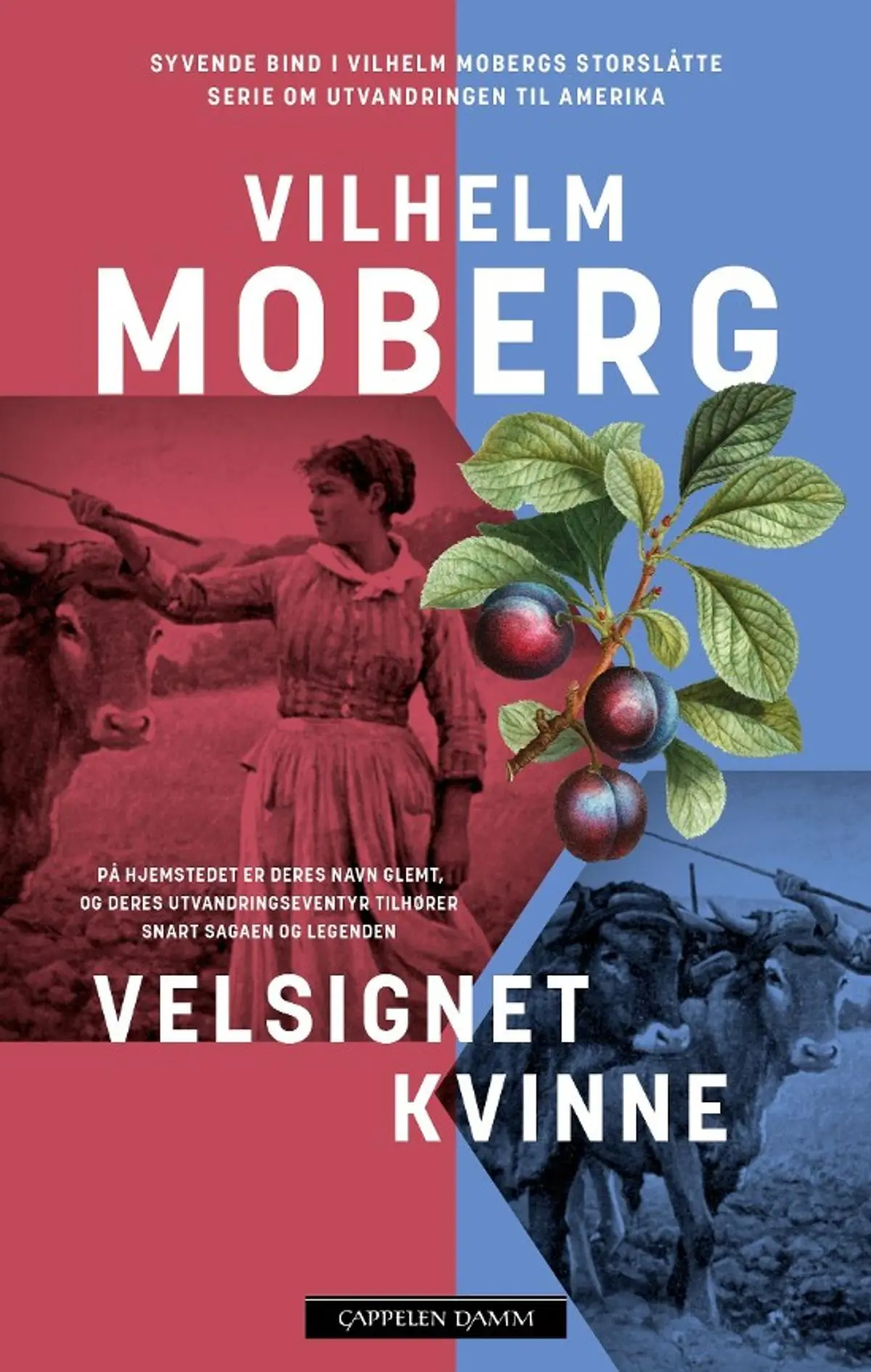 Velsignet kvinne: siste brevet hjem 1