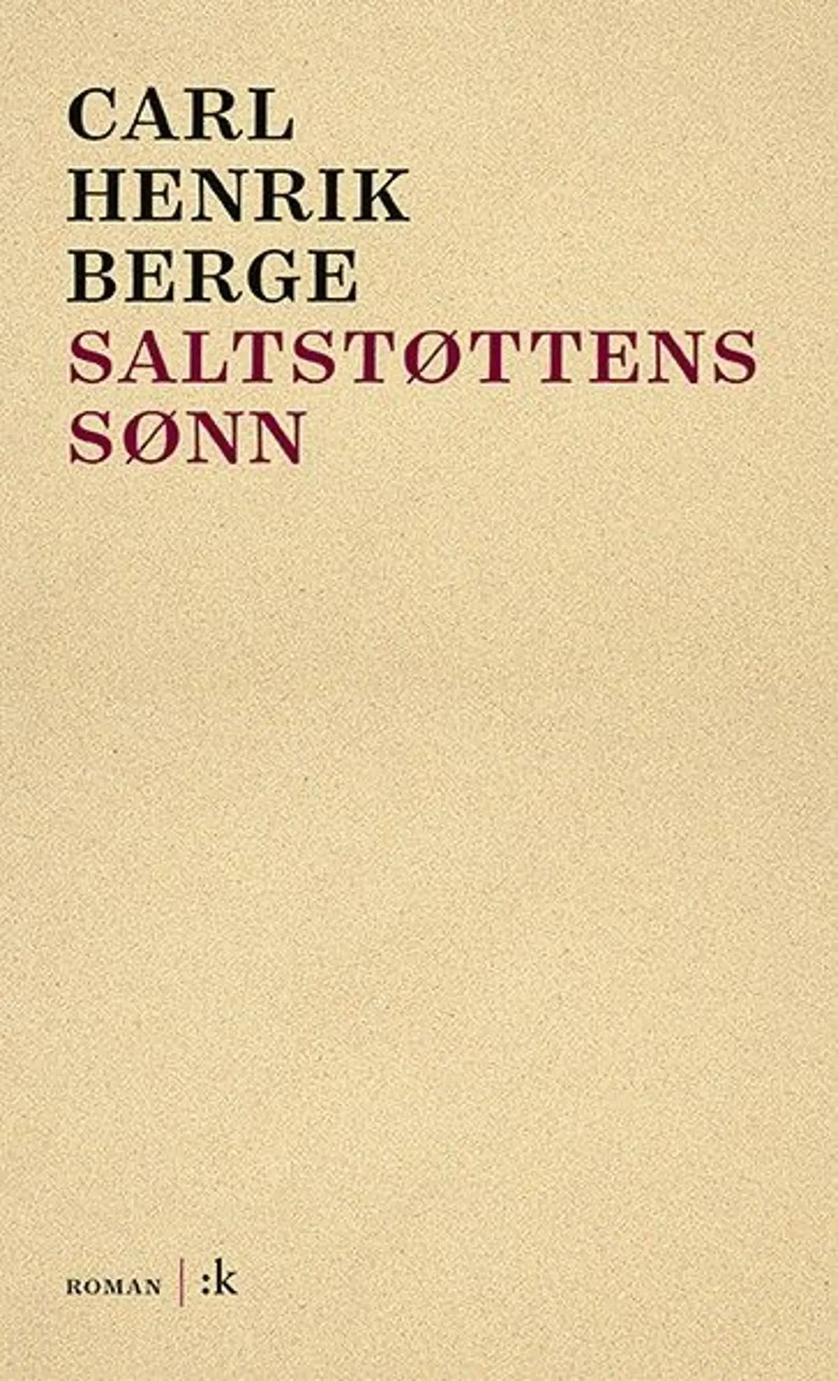 Saltstøttens sønn: roman