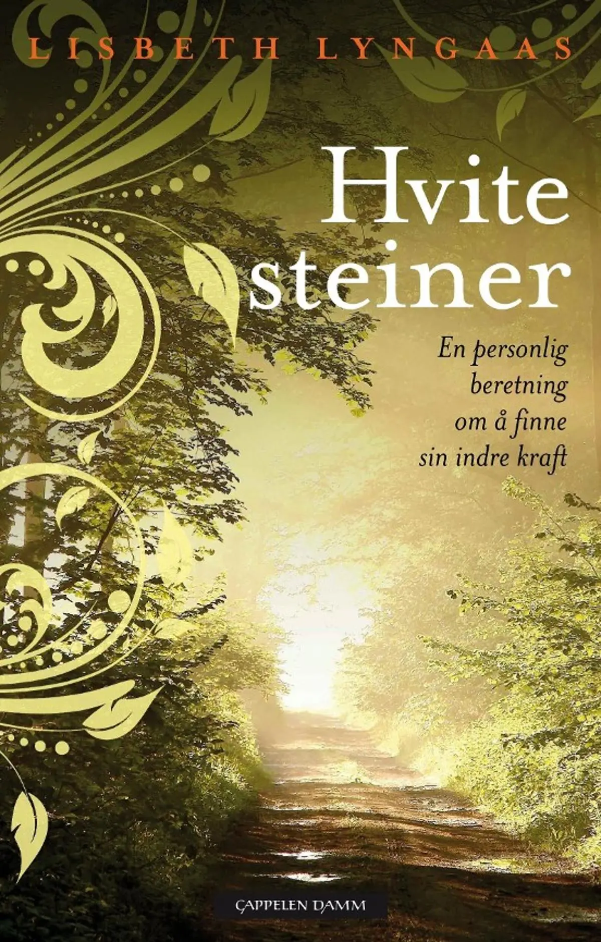 Hvite steiner: en personlig beretning om å finne sin indre kraft