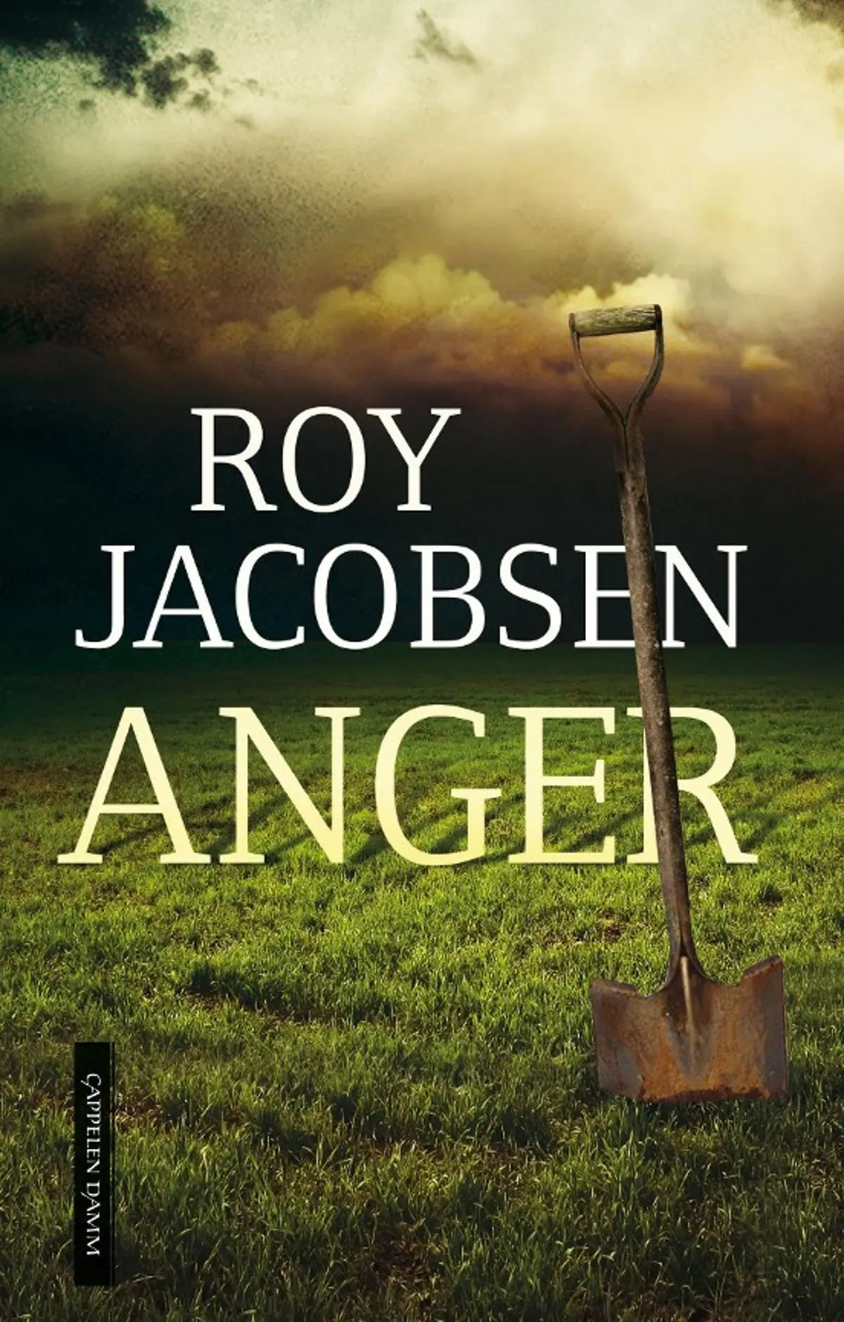 Anger: roman