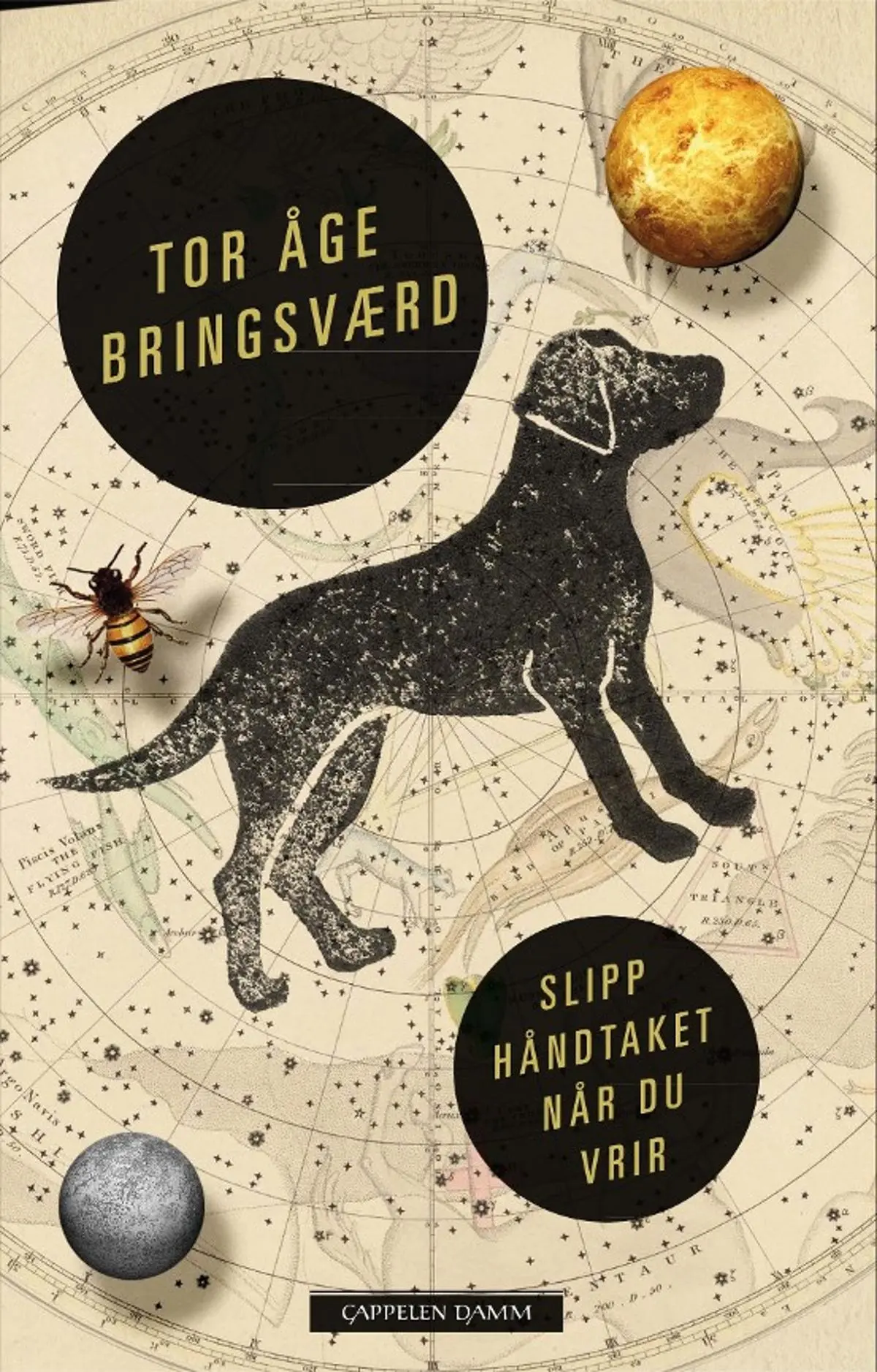 Slipp håndtaket når du vrir: roman