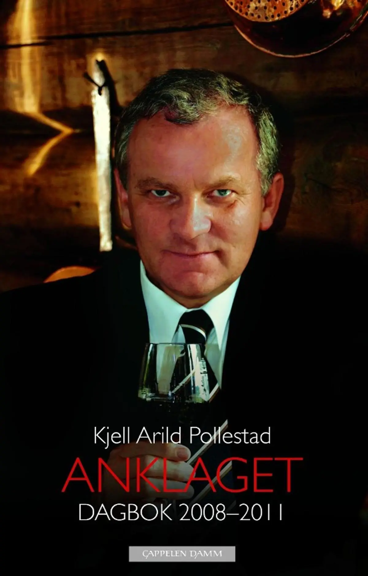 Anklaget: dagbok 2008-2011
