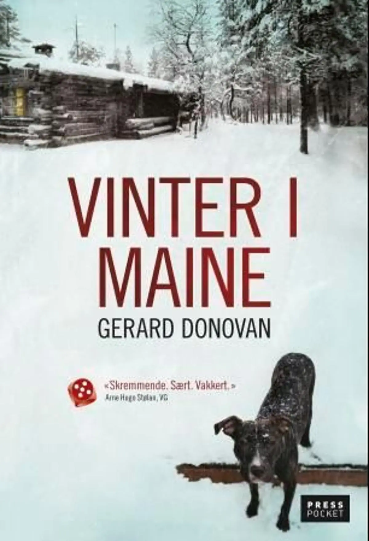 Vinter i Maine: roman