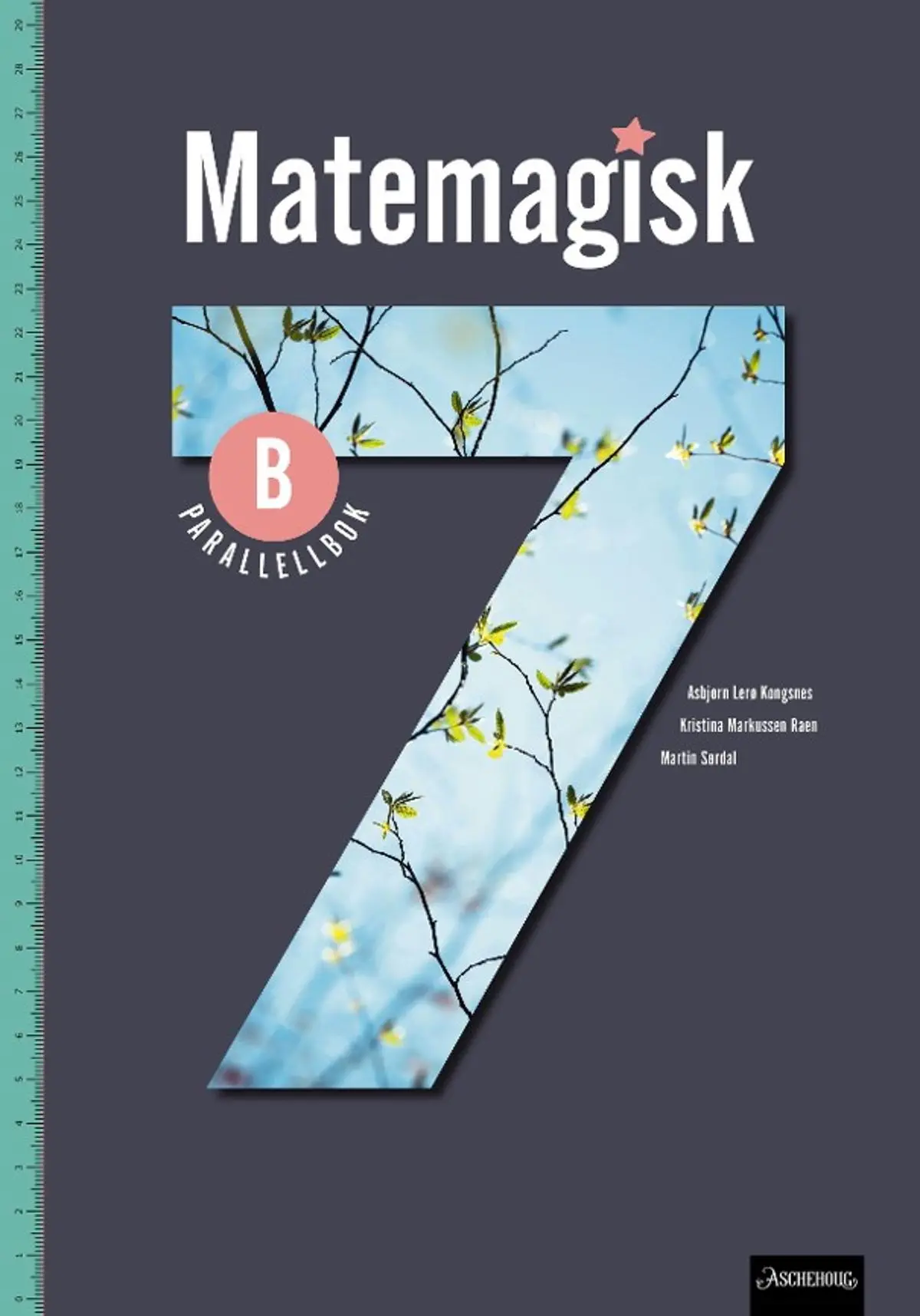 Matemagisk 7B: Parallellbok