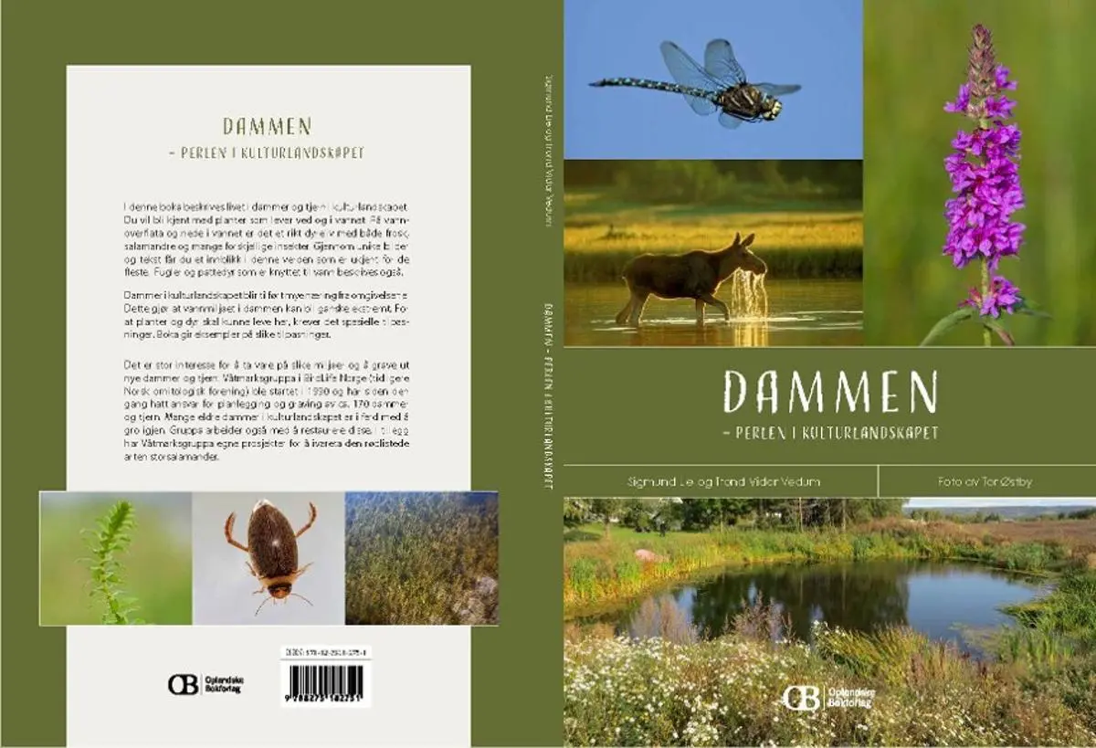 Dammen: perlen i landskapet