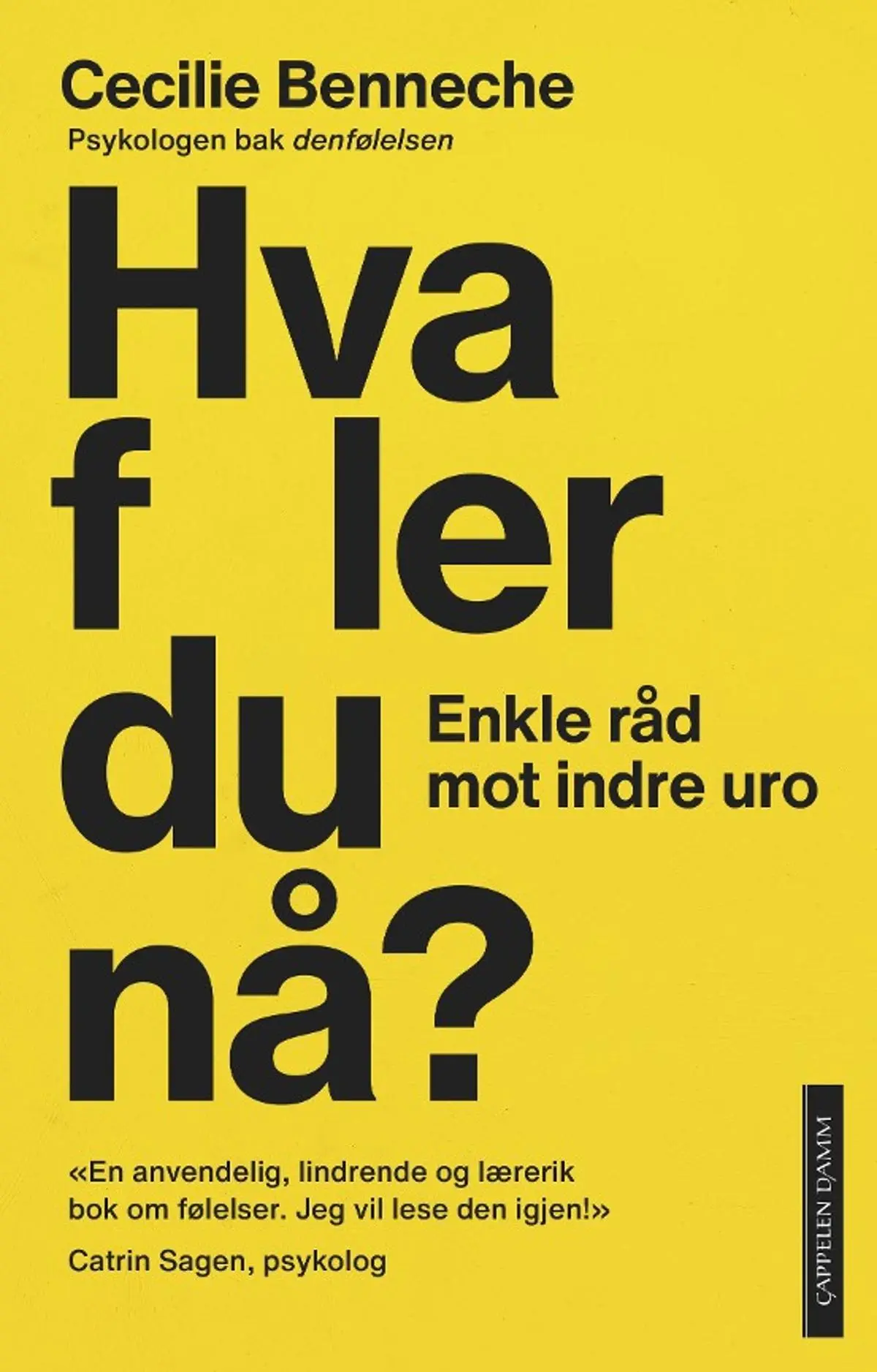 Hva føler du nå?: enkle råd mot indre uro