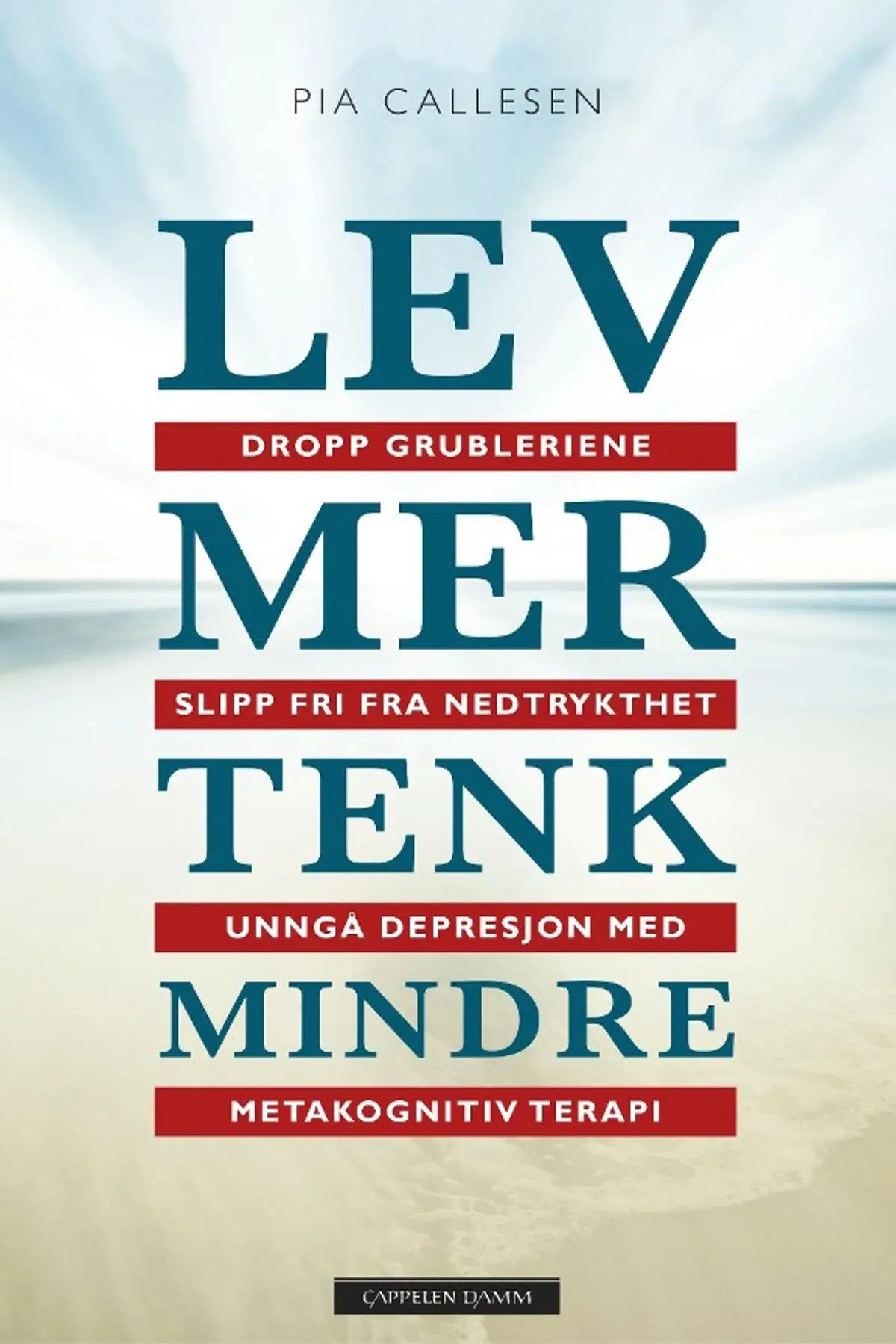 Lev mer tenk mindre: dropp grubleriene - slipp fri fra nedtrykthet og depresjon med metakognitiv terapi