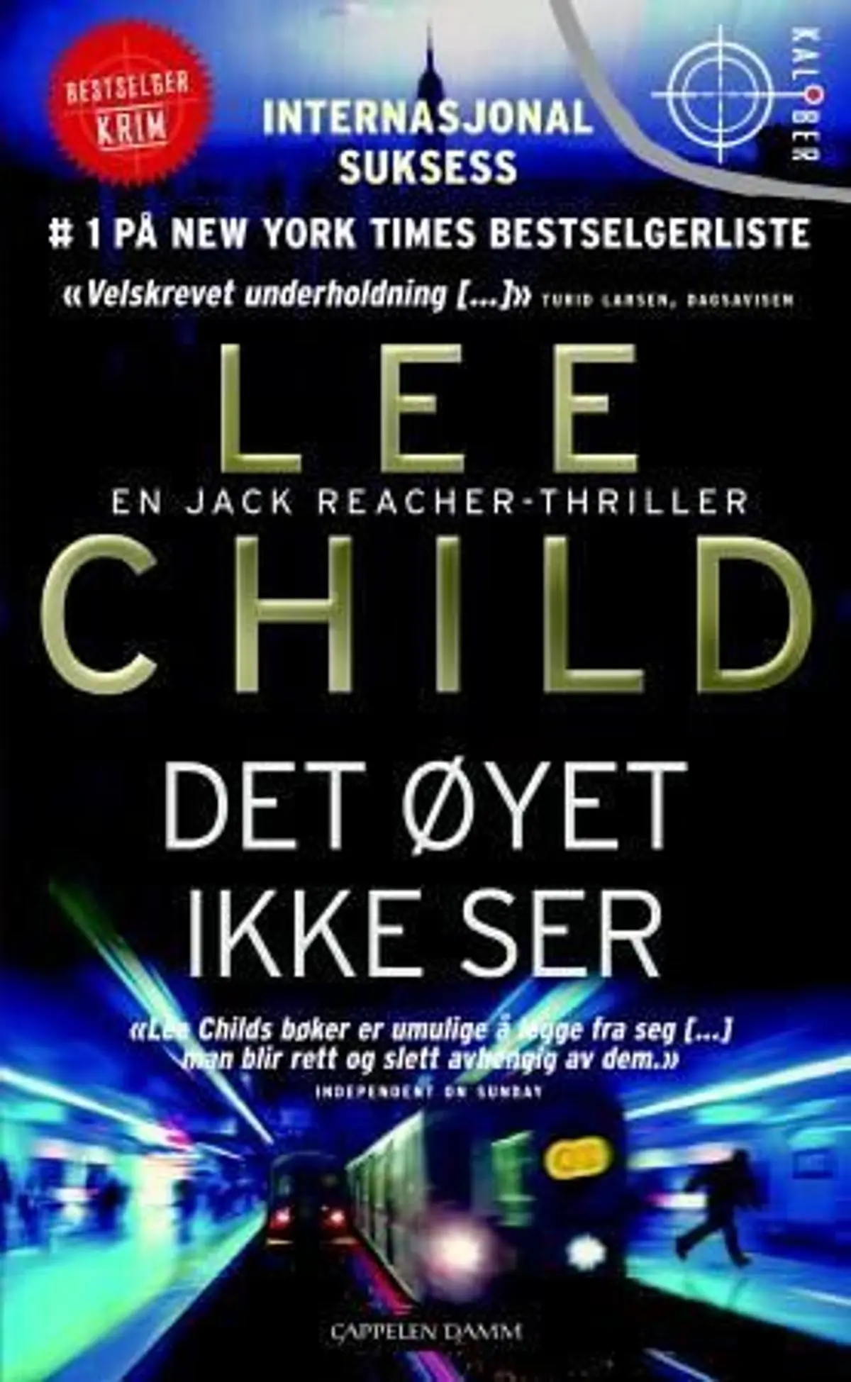 Det øyet ikke ser: en Jack Reacher-thriller