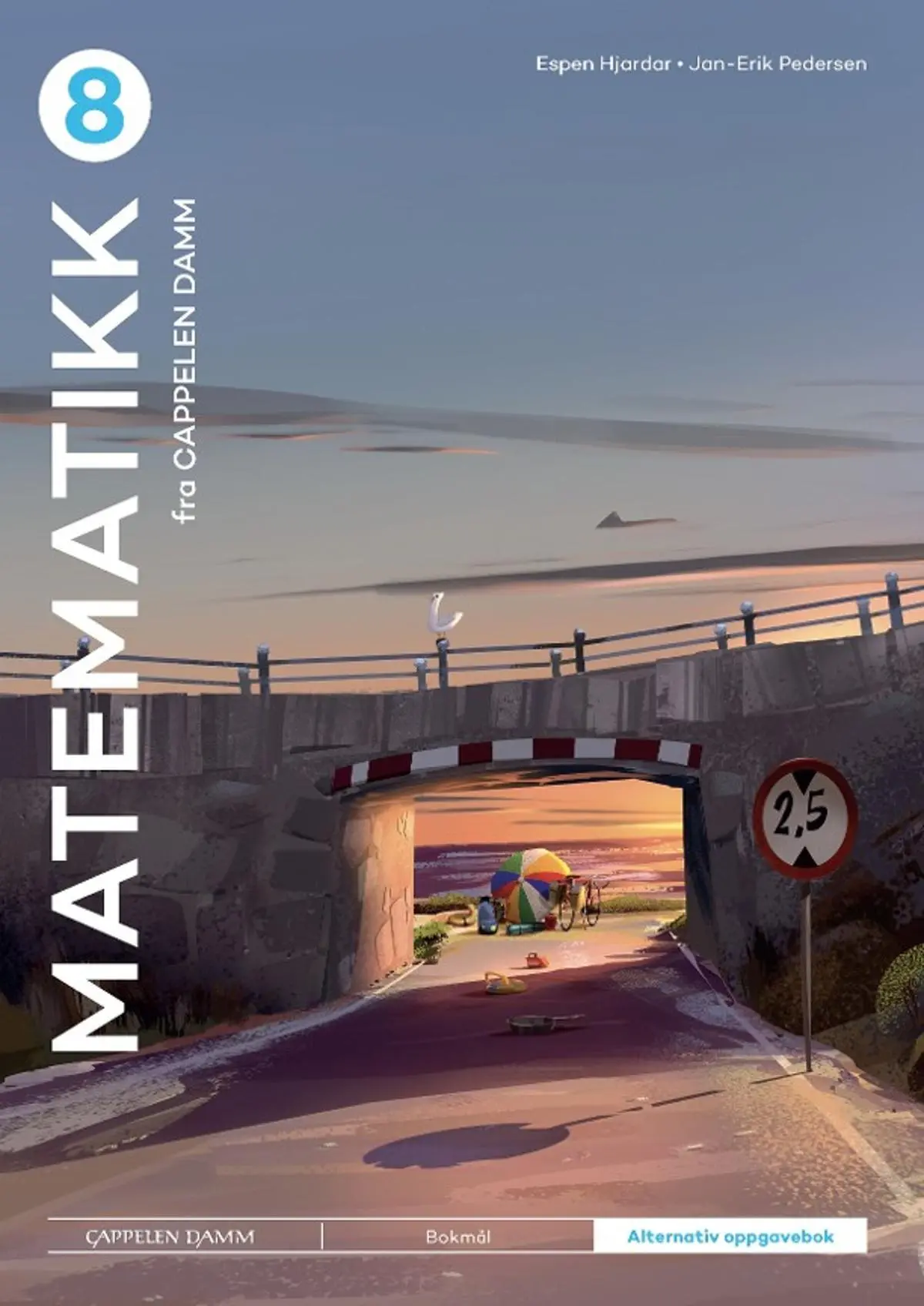 Matematikk 8 fra Cappelen Damm: Alternativ oppgavebok