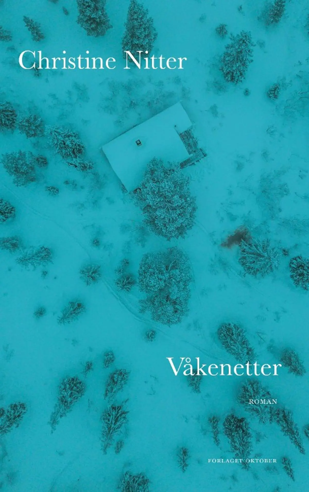 Våkenetter: roman